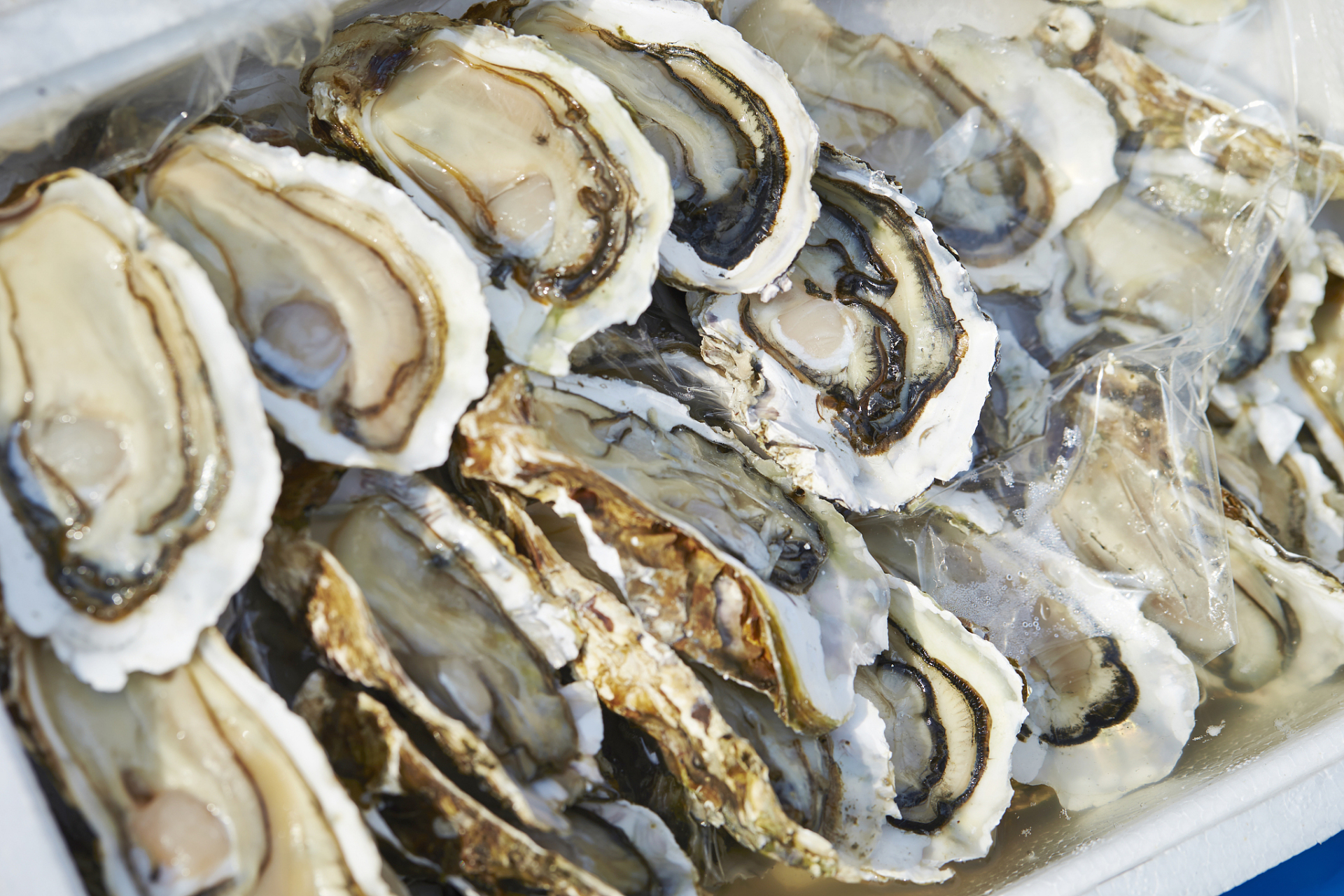 生蚝和牡蛎外观相似但口感,营养和生活环境各异.