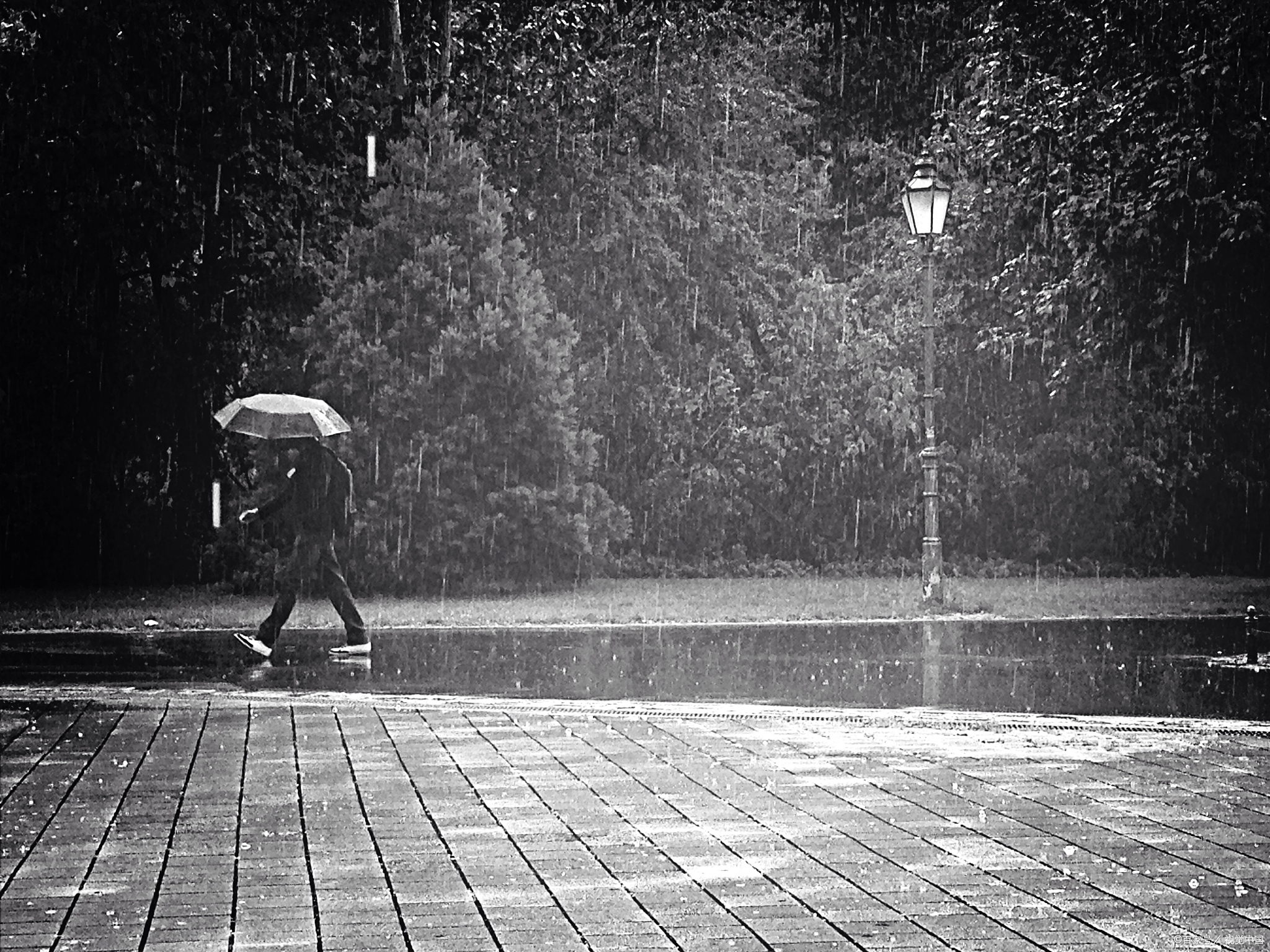 跳舞的雨点图片