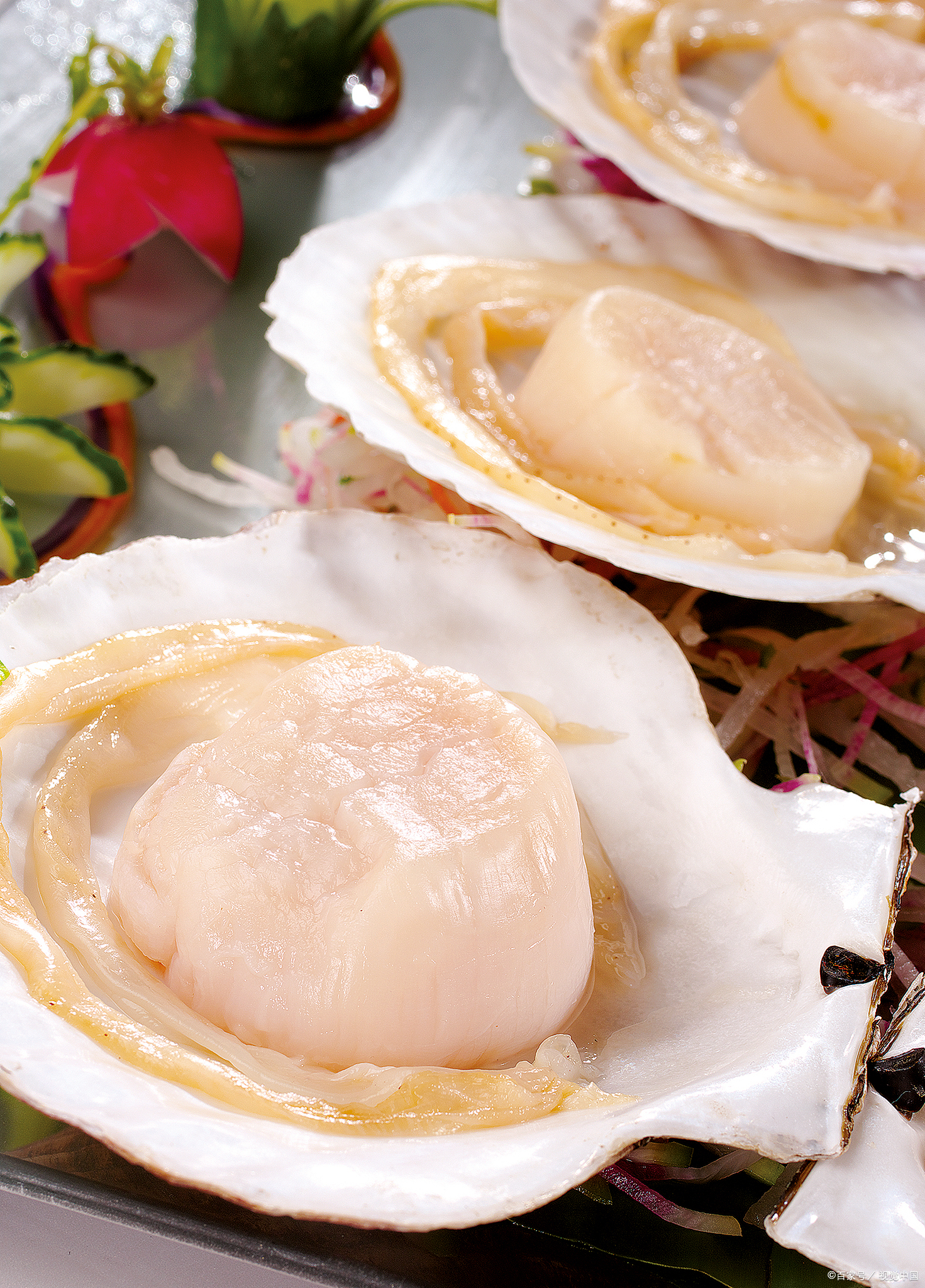 带子:扇贝的美味魅力