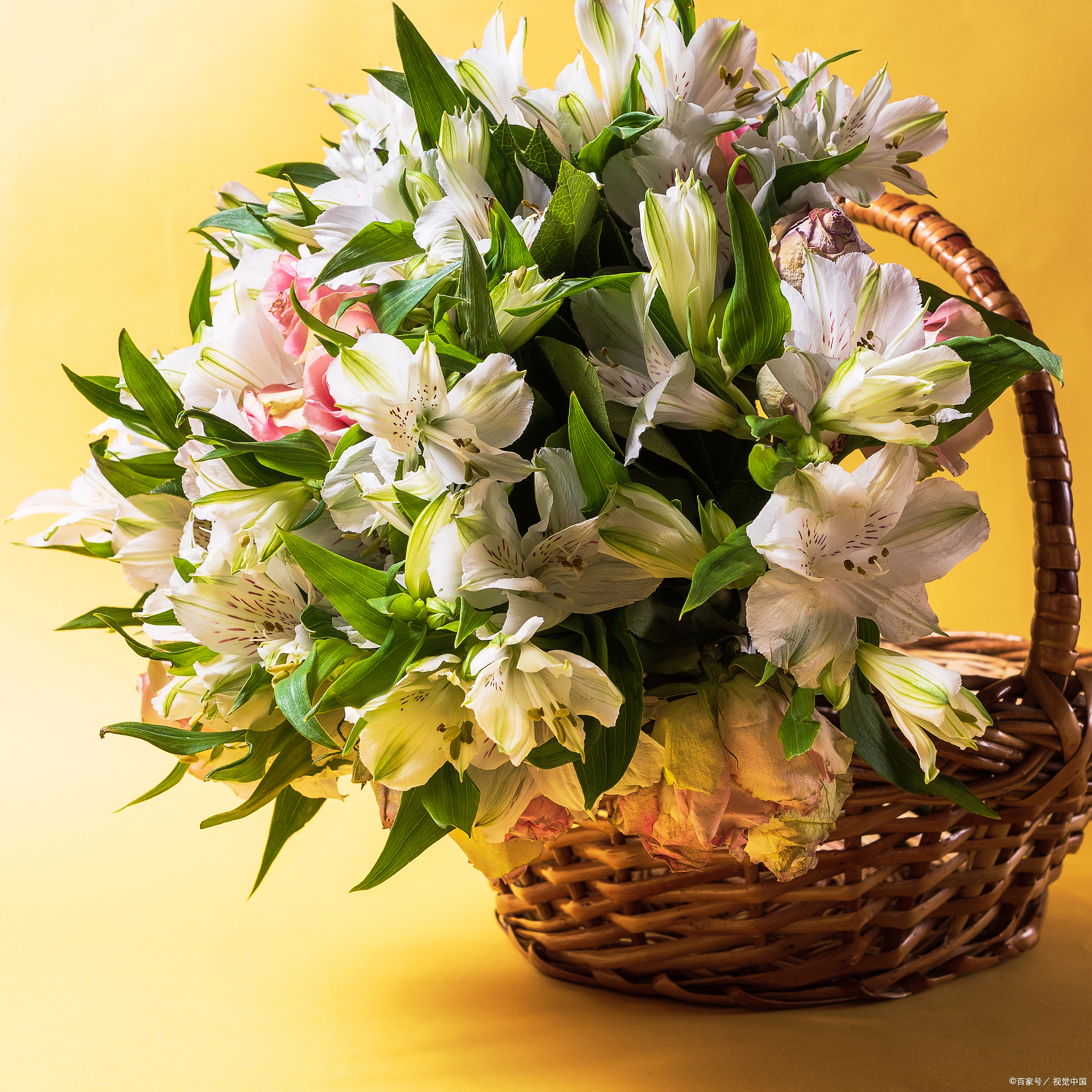 当亲友故去,我们以各种方式寄托哀思,表达对逝者的尊重与怀念.