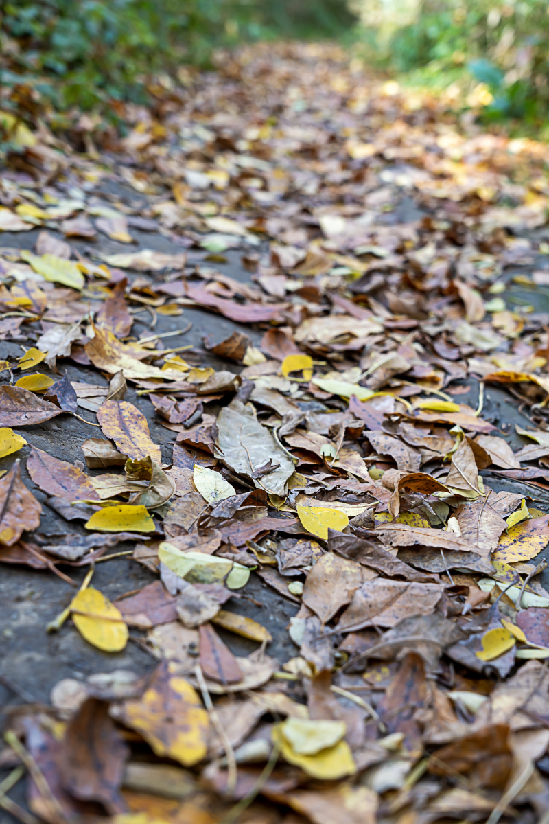 读完它,我仿佛经历了一场心灵的洗礼,感受到了那种久违的宁静和深度