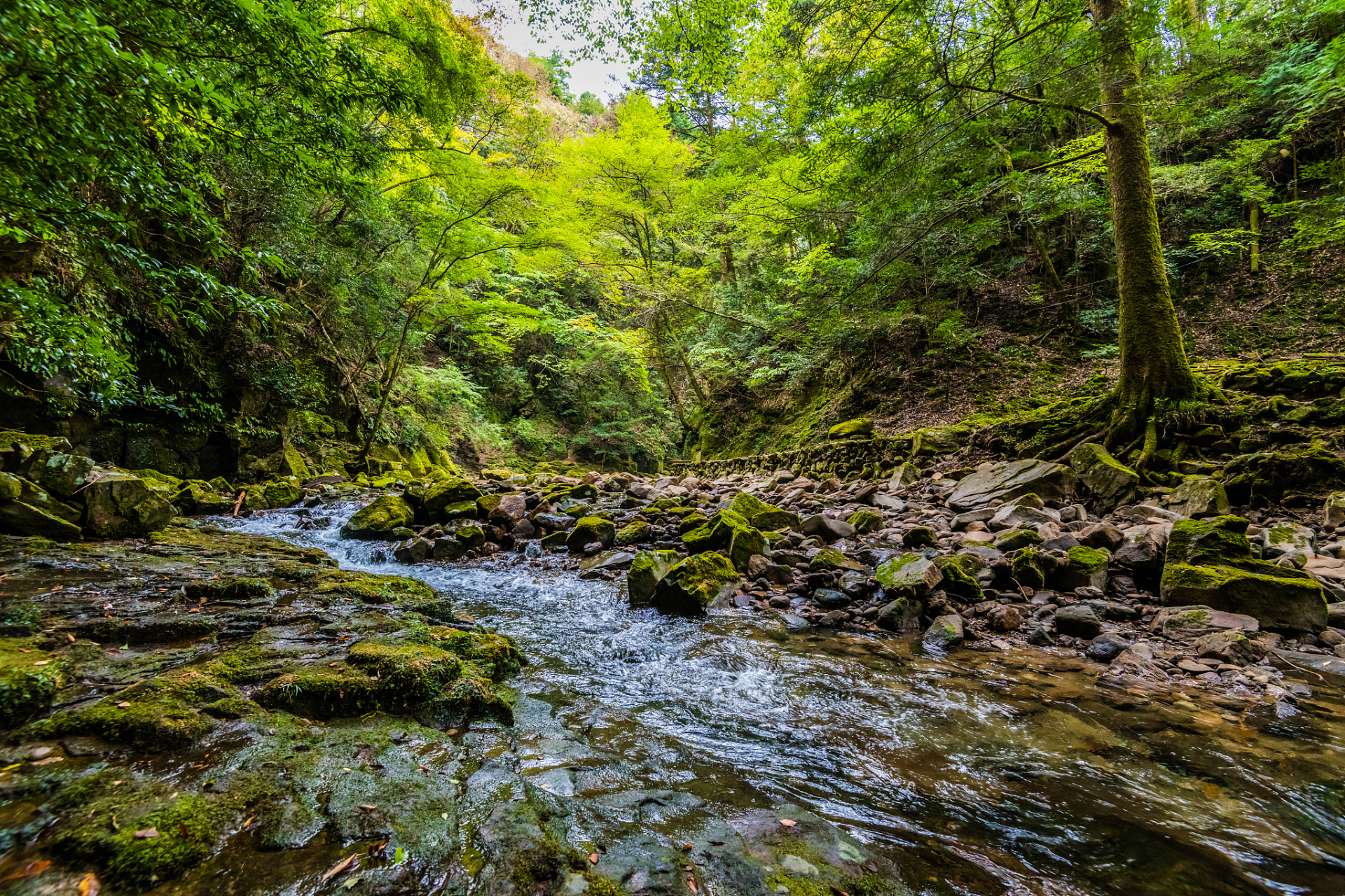 ai亚来杭州# 夜晚,山沟沟的美丽并没有消失,反而更加迷人