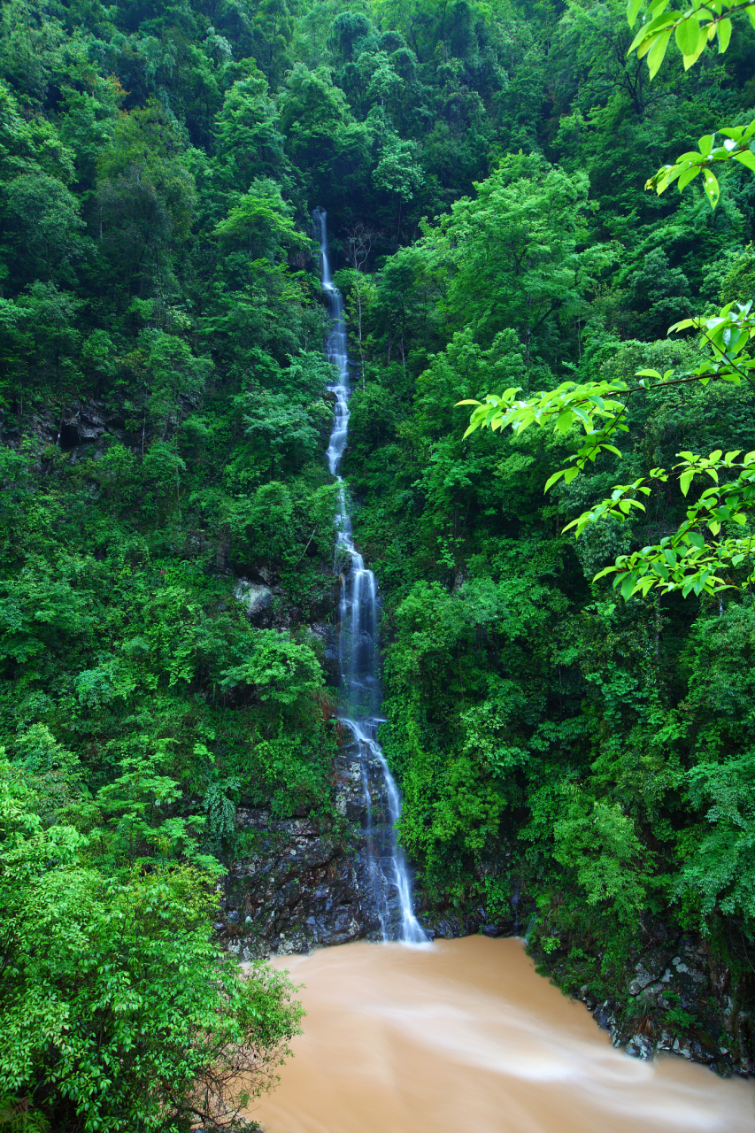 三百山风景区图片