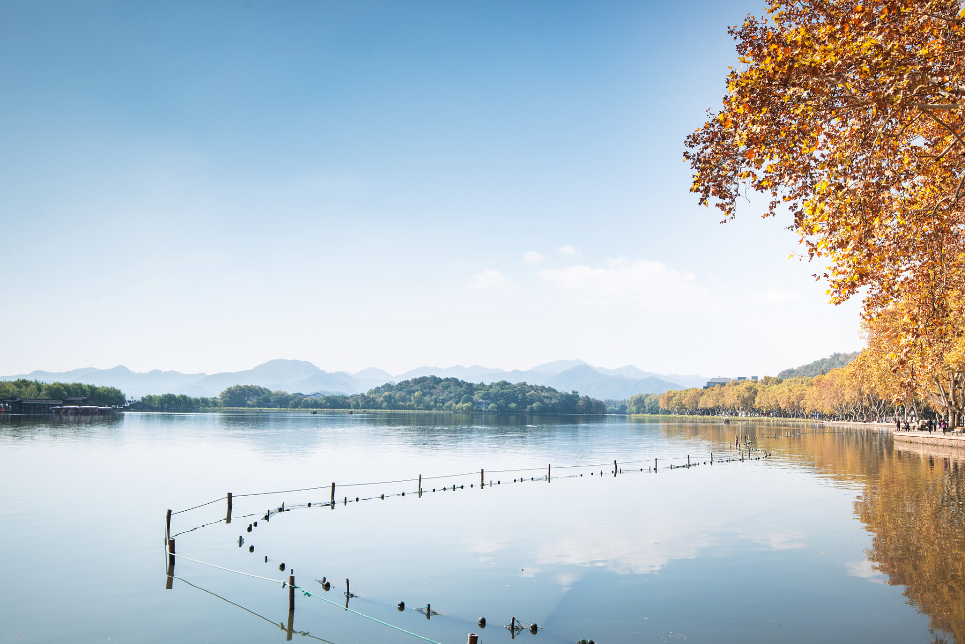秋天的西湖,不仅有金黄色的落叶和温暖的阳光,更有那独特的秋意和诗意