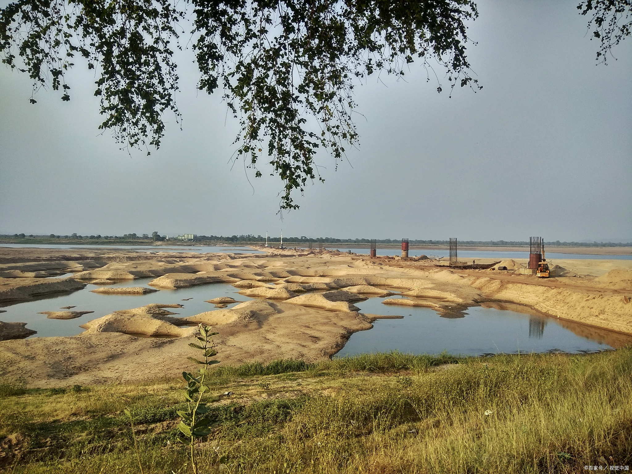 朔州怀仁金沙滩,春季沙地绿化的生态奇迹!
