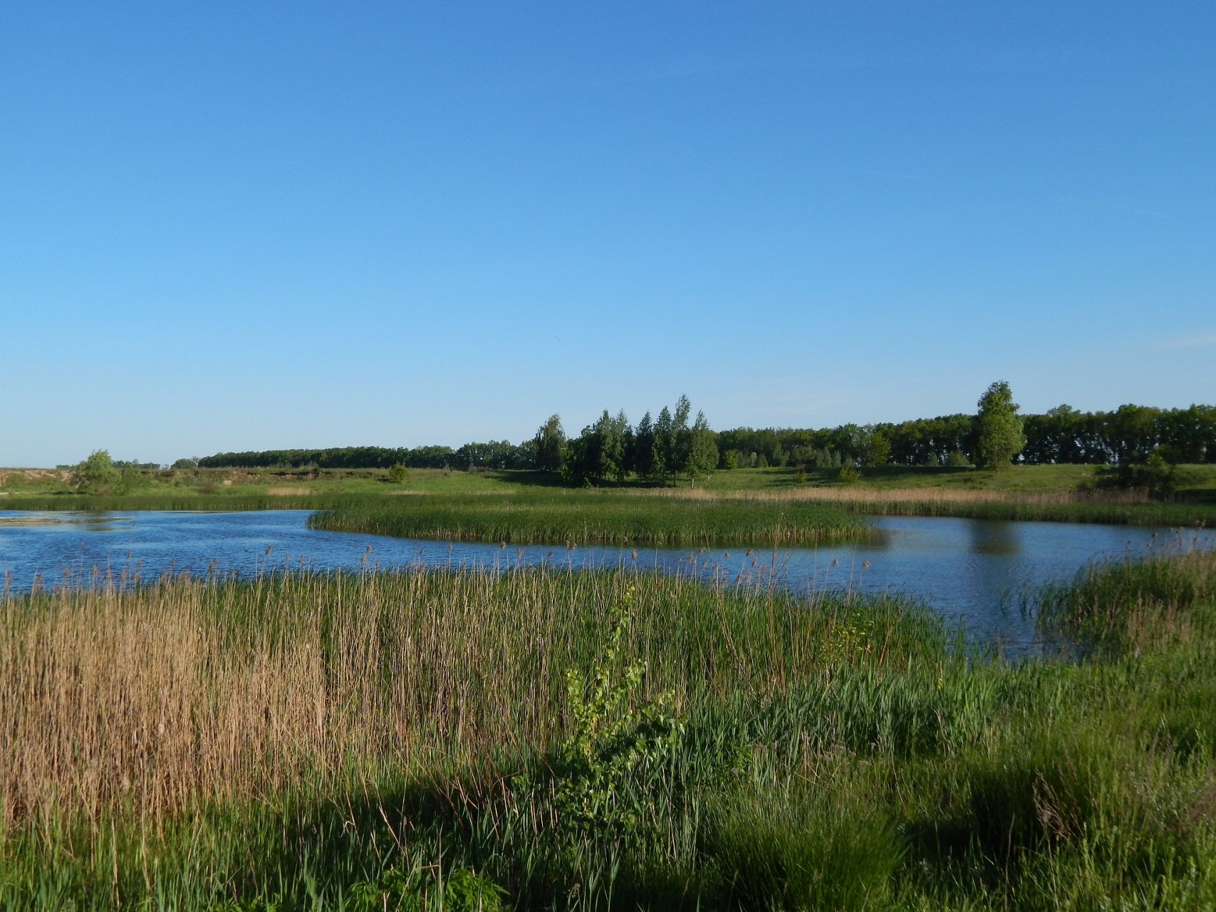 内蒙古根河源国家湿地公园,以生态多样性和独特的地理位置占据着