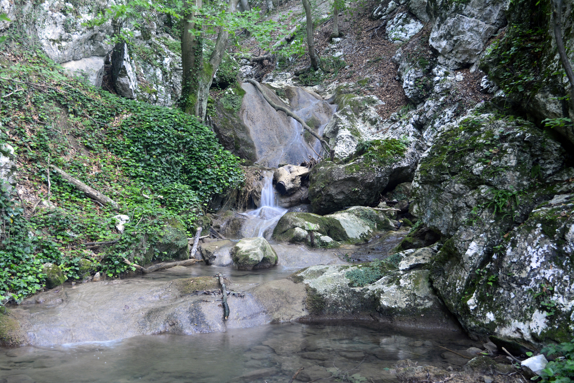 桐庐虎啸峡景区,一场速度与激情的心跳盛宴,正等待您的勇气与挑战!