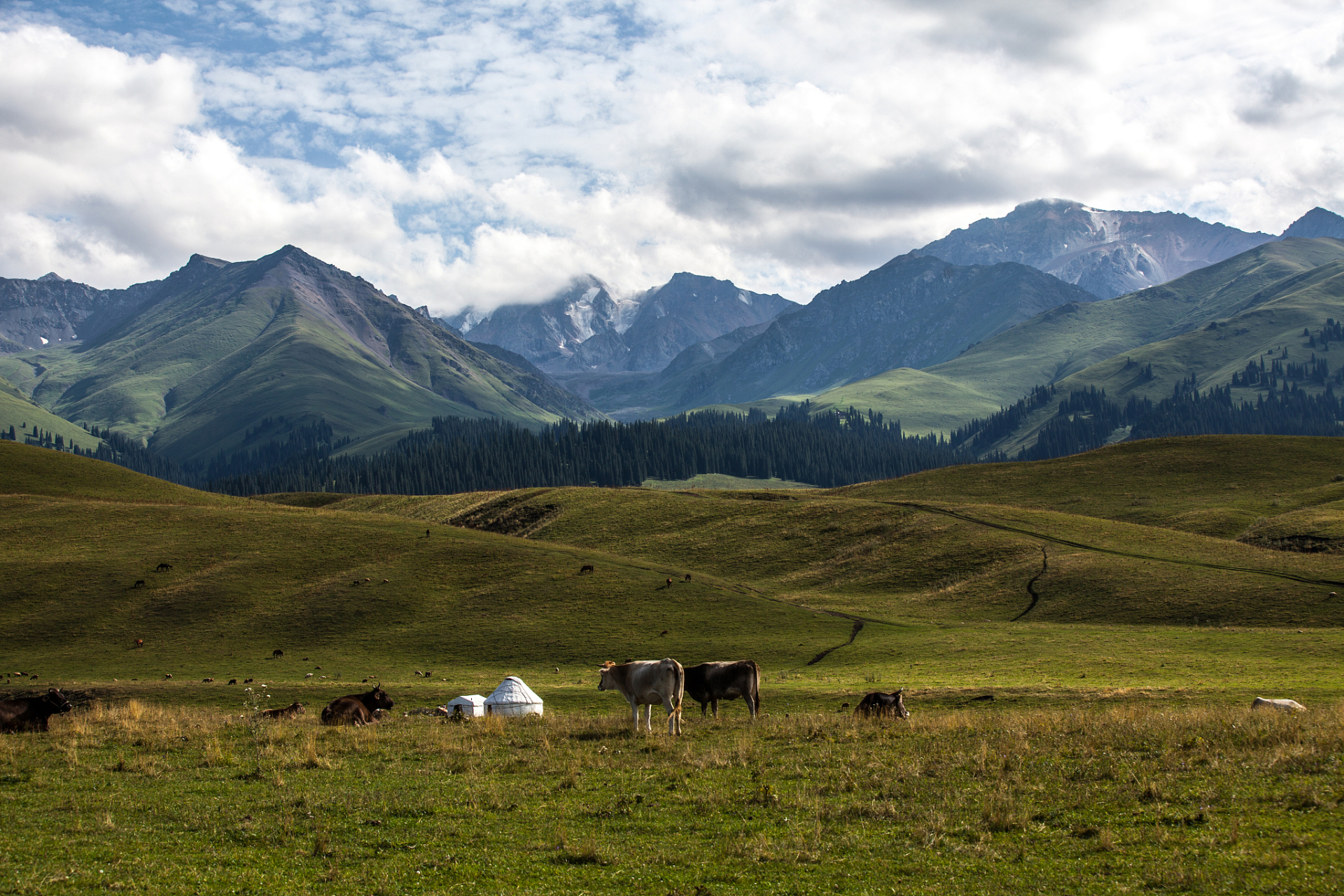 那拉提旅游风景区,哇,它位于新疆新源县境内,就在天山的肚子里,简直就