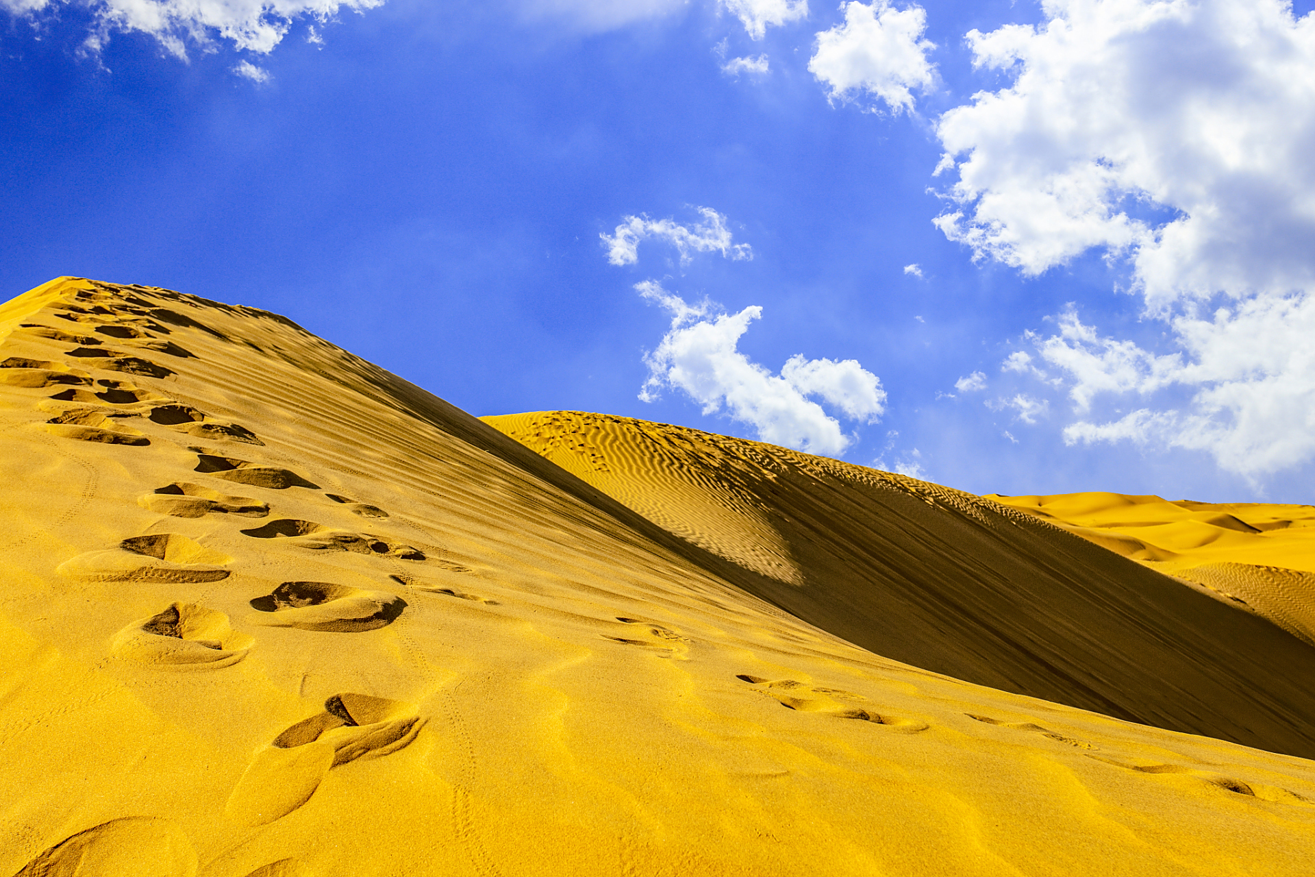 位于银川市西北50公里的平罗县境内,沙湖是一片将江南水乡和北国大漠