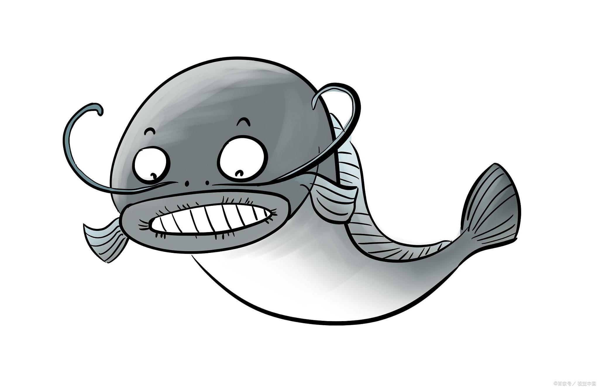 管理学中的鲶鱼效应指的是什么?