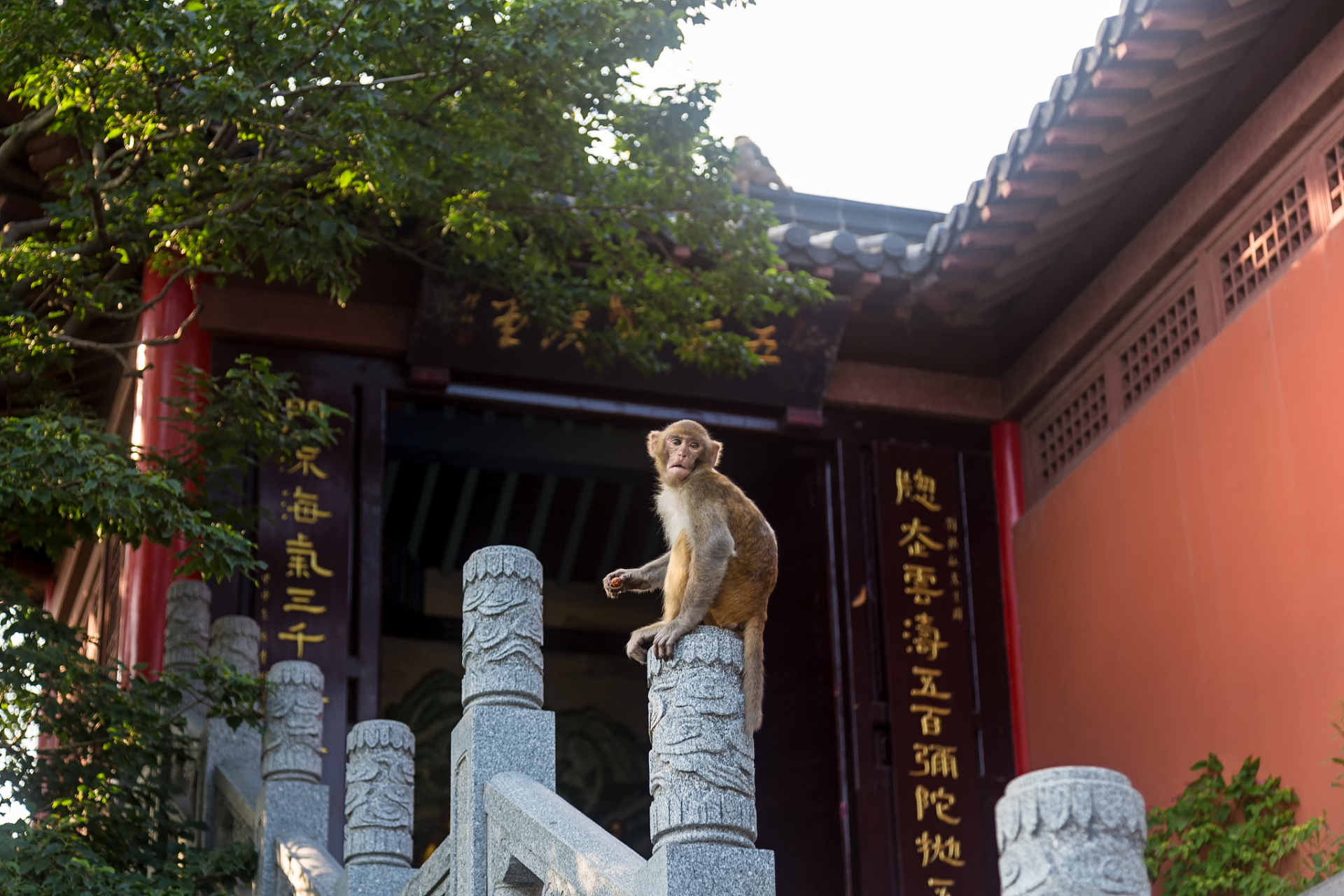 西游记花果山对联图片