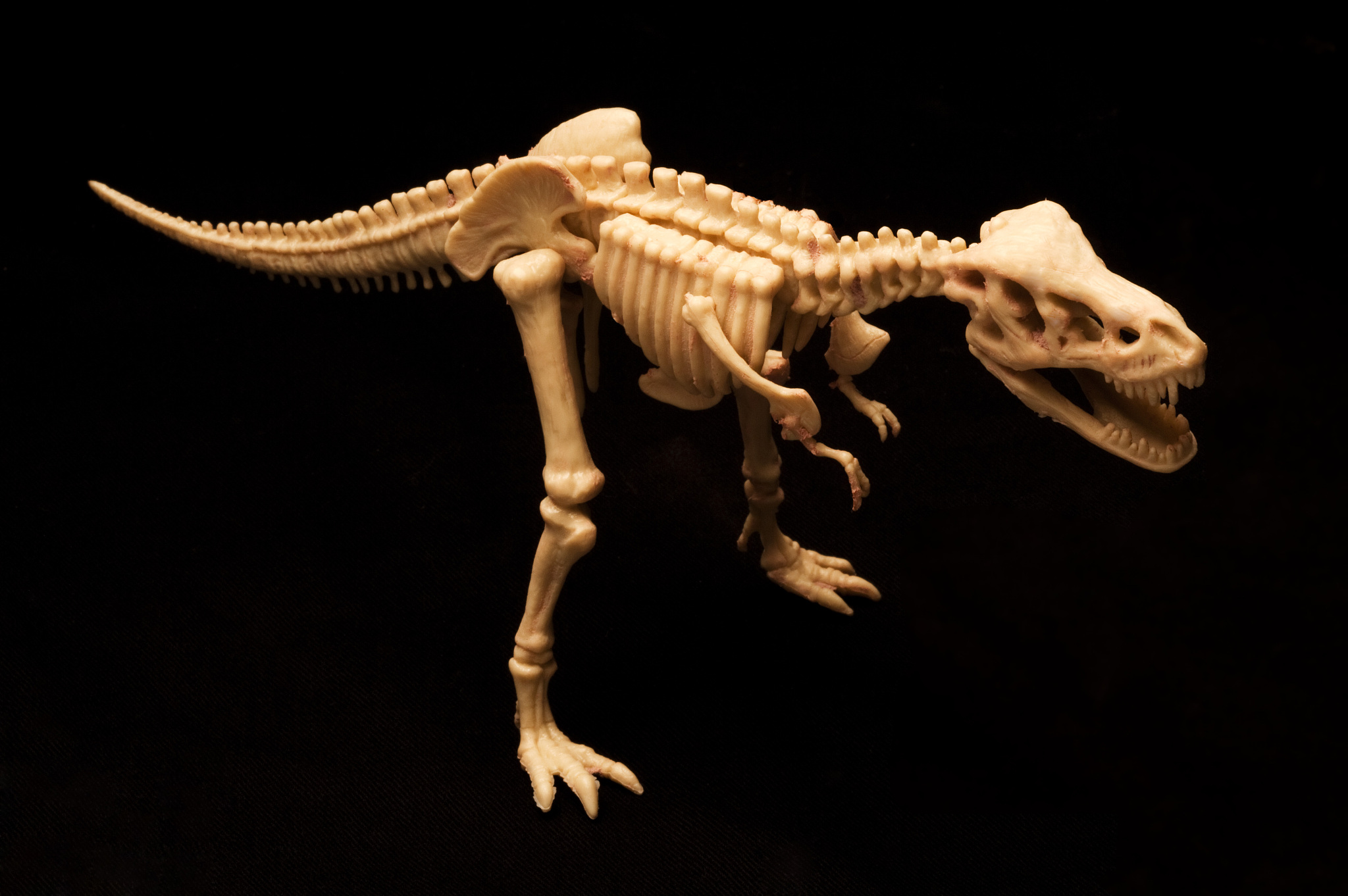 听说咱们亚洲出现过一种体型巨大的恐龙,叫做马门溪龙,这可真让人好奇