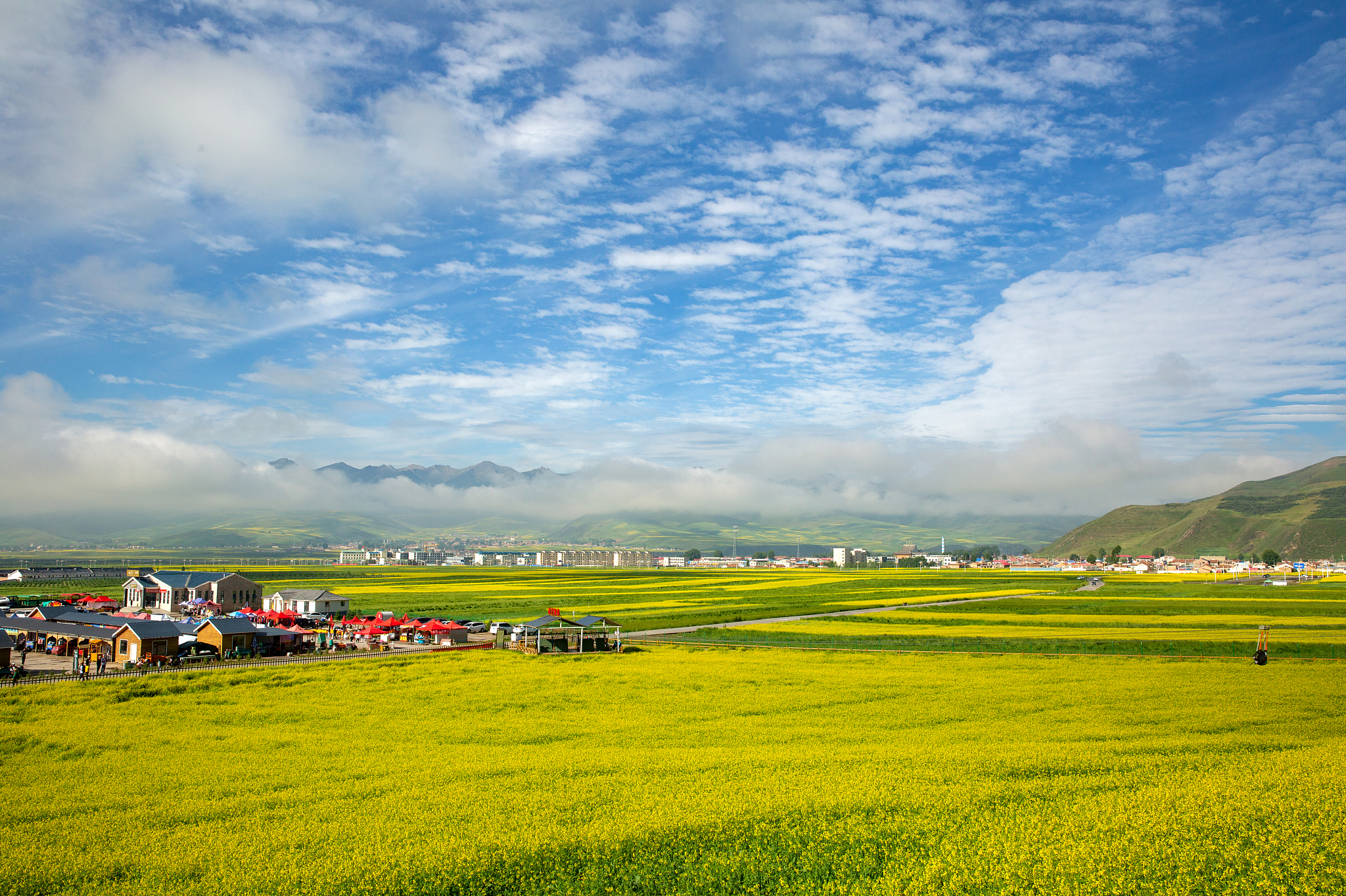 西宁,低调城市的内敛魅力:探索青藏高原上的独特之地