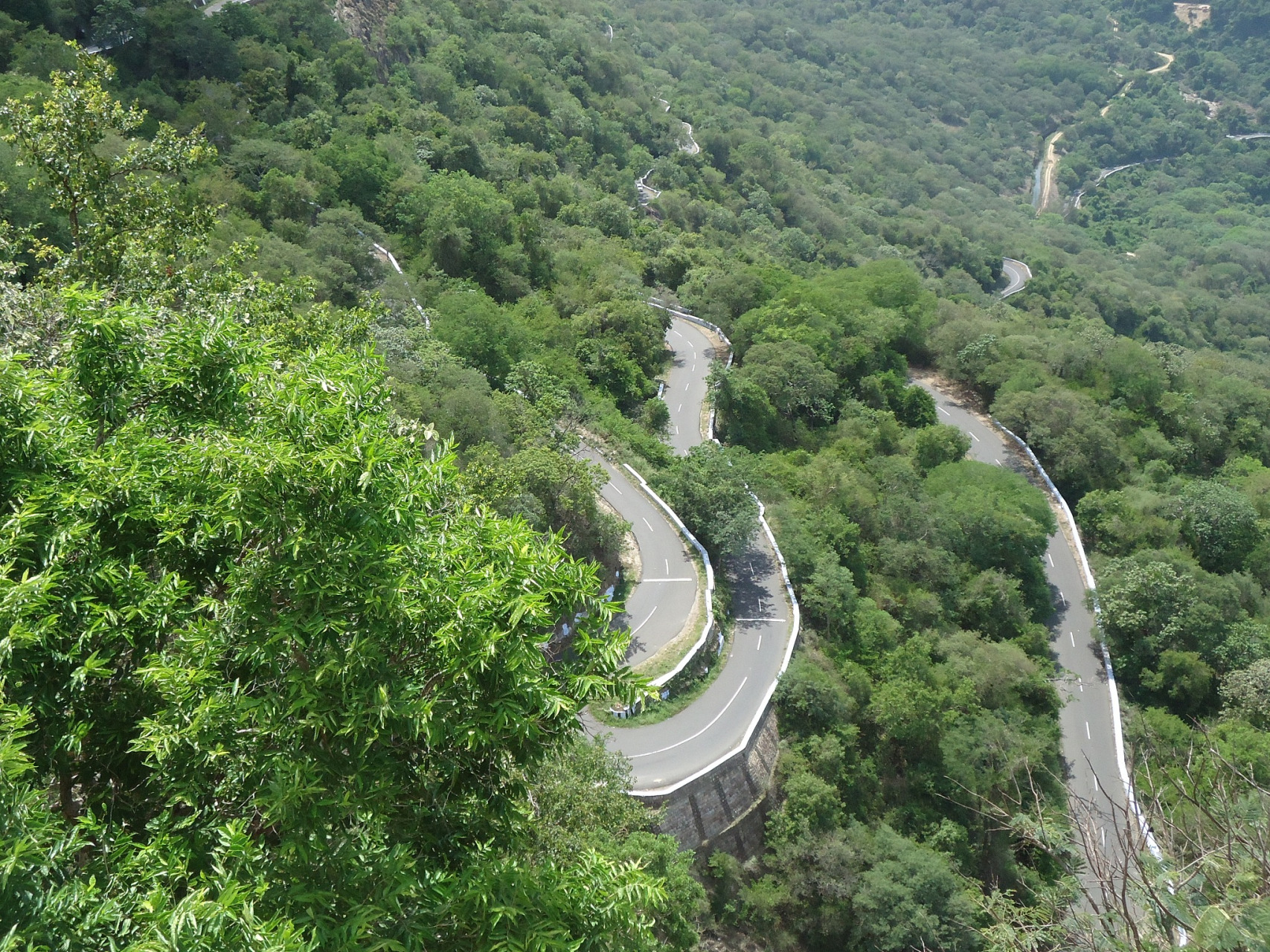 这条被誉为西安最美环山路的公路盘旋在骊山上,从临潼区空军疗养院西