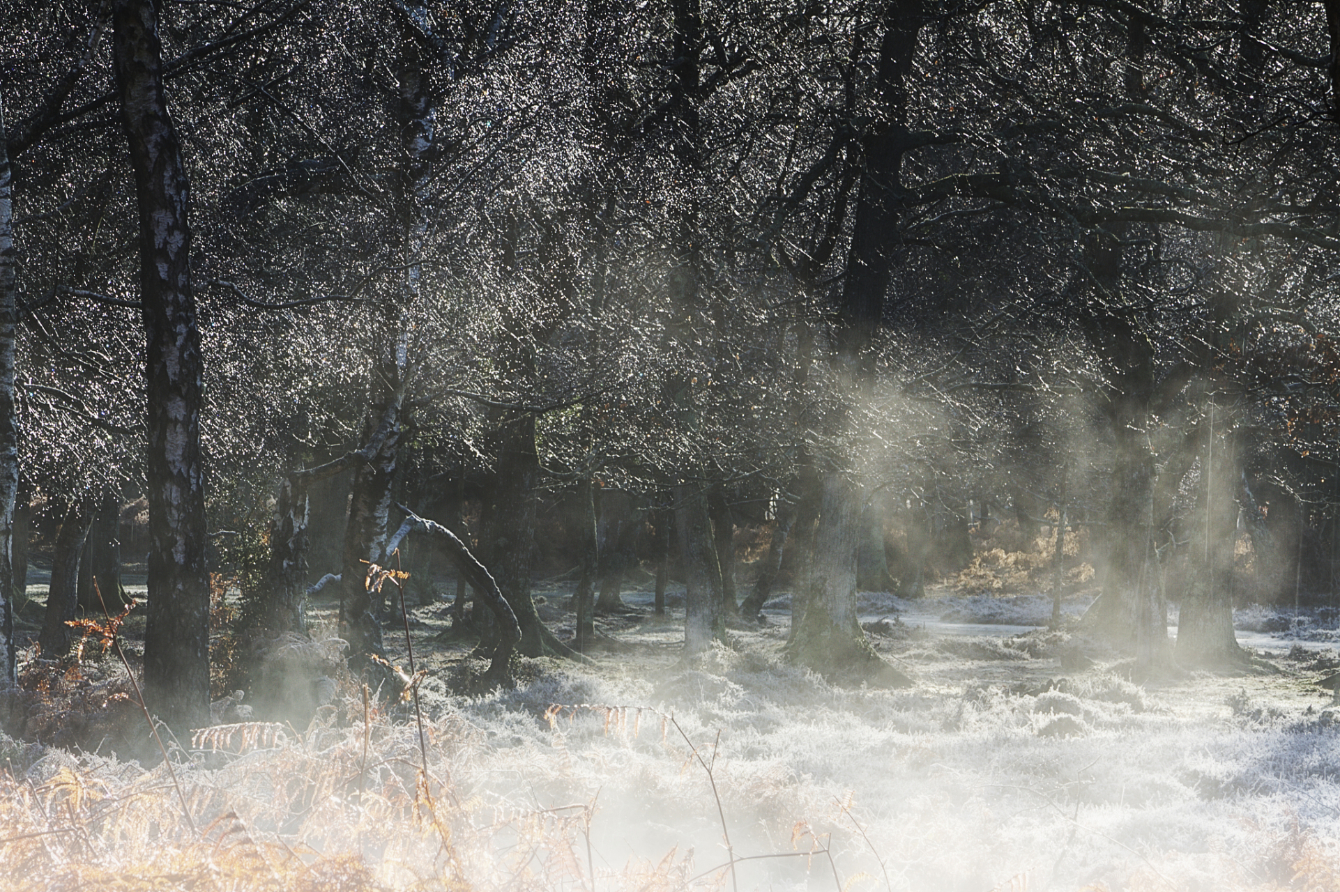 在暴雨天气拍摄照片的技巧: 拍摄前: 暴雨来袭前,城市被密布的乌云