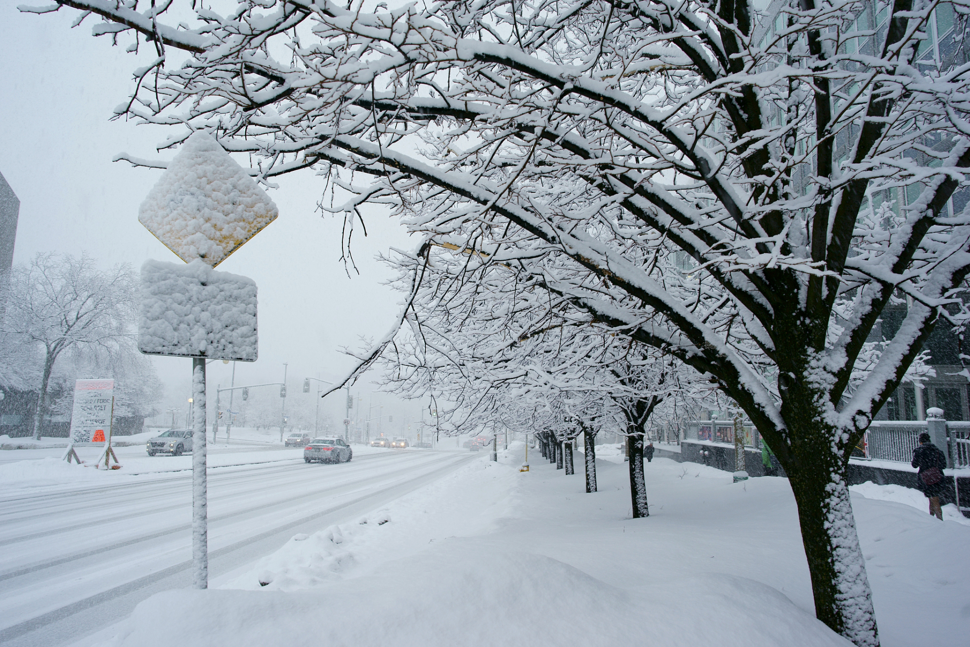 广州下雪了?当地回应:未达到下雪条件!这真是个让人哭笑不得的消息.