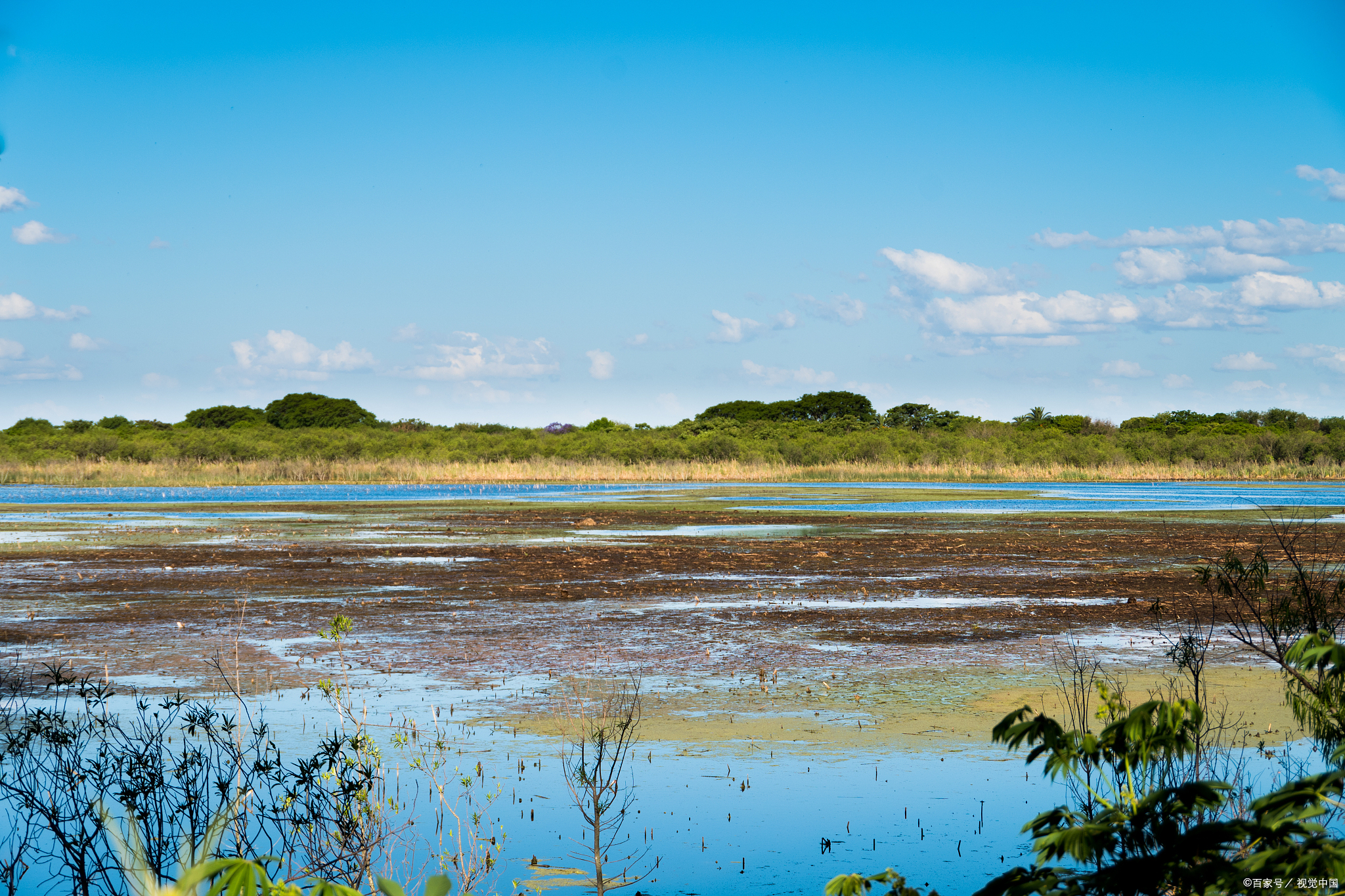 莫莫格湿地,生态环境保护区!