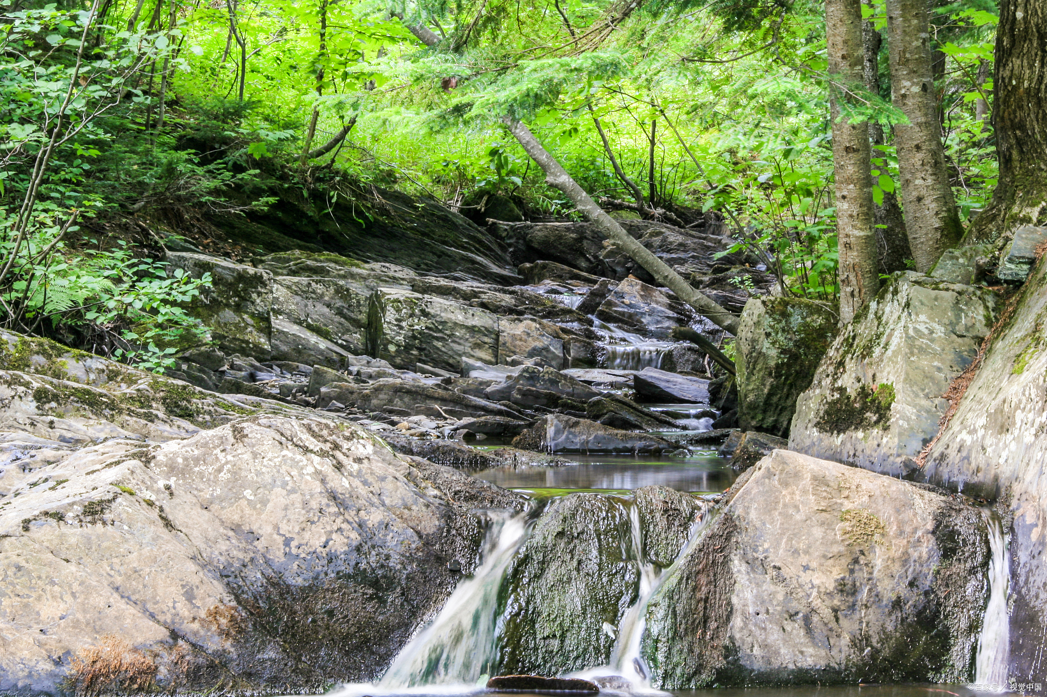 在这里,你可以欣赏到原始森林的壮观景象,感受大自然的神奇魅力.