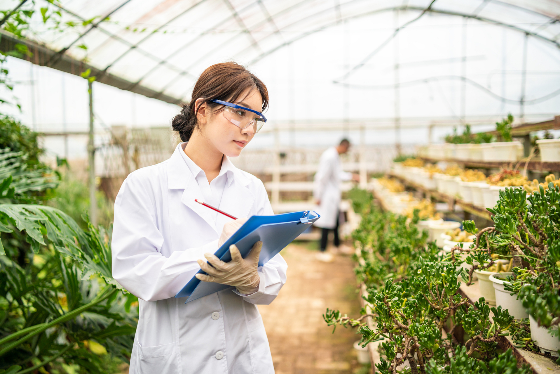 解码数字新职业#  #数字职业# #农业数字化技术员# #互联网营销师