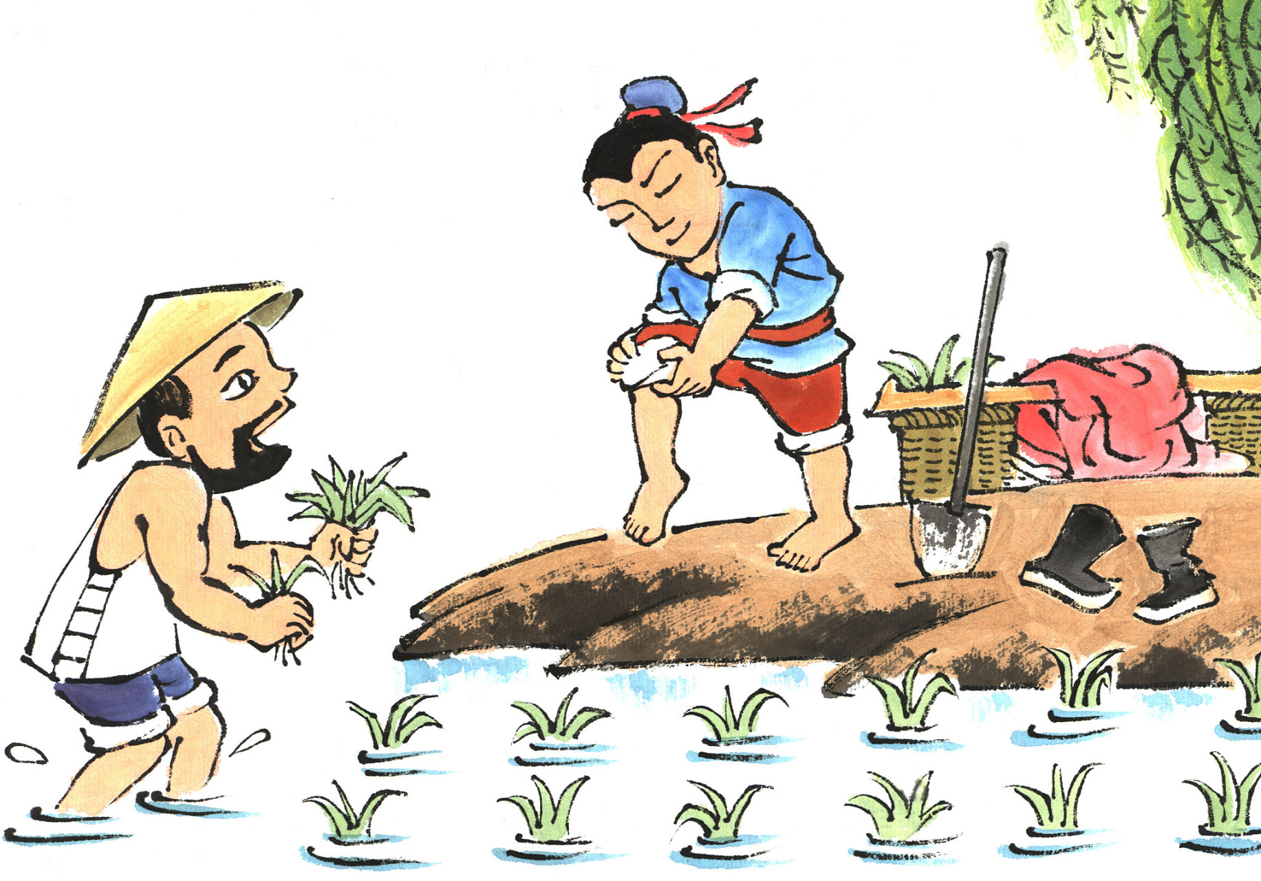 还记得揠苗助长吗?