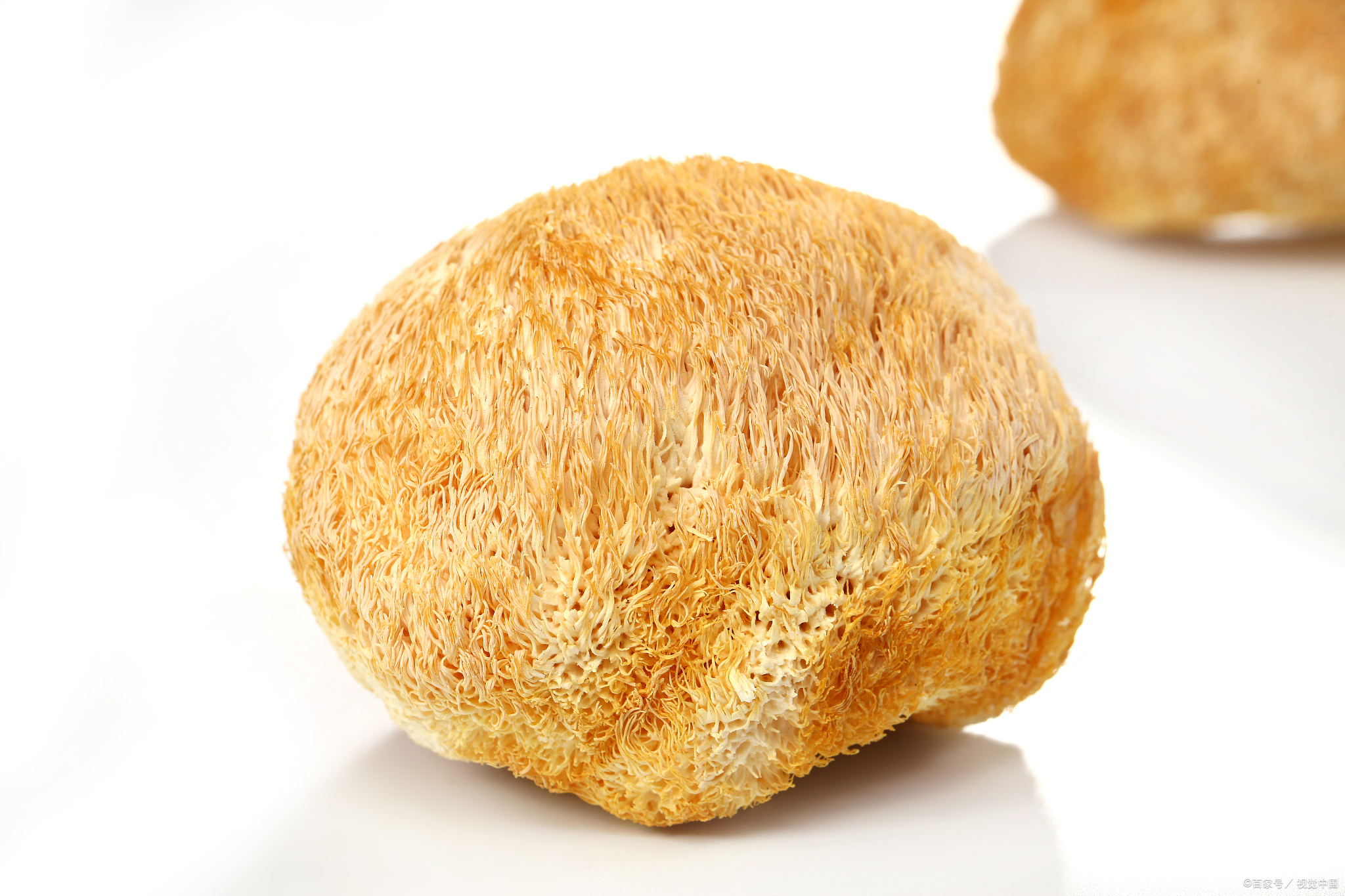 菌菇中的"贵族"猴头菇,四个食用技巧,或可让营养更加全面吸收