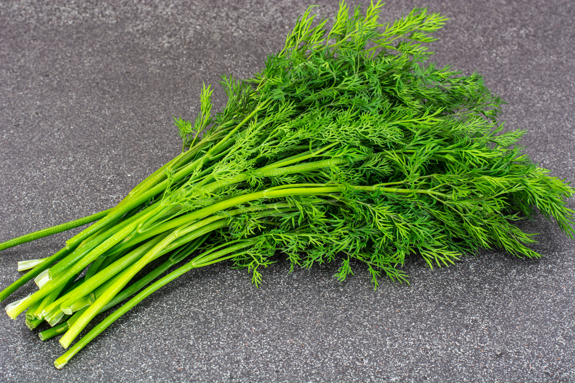 吃出营养大健康# #茴香#   "煮臭肉,下少许,即无臭气,臭酱入末亦香