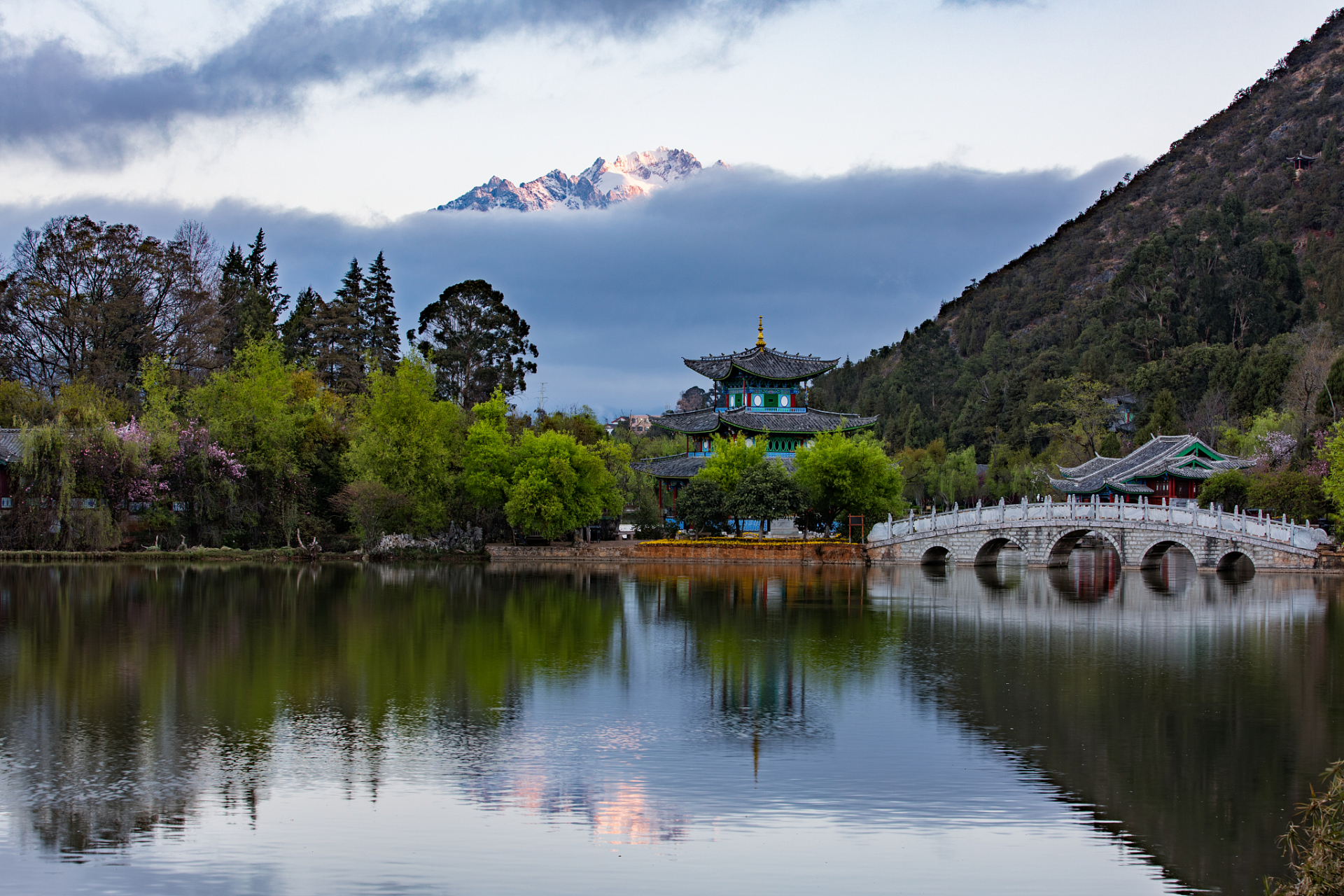 奔赴春天的旅行# 在春日的温暖阳光下,我踏上了丽江黑龙潭公园的徒步