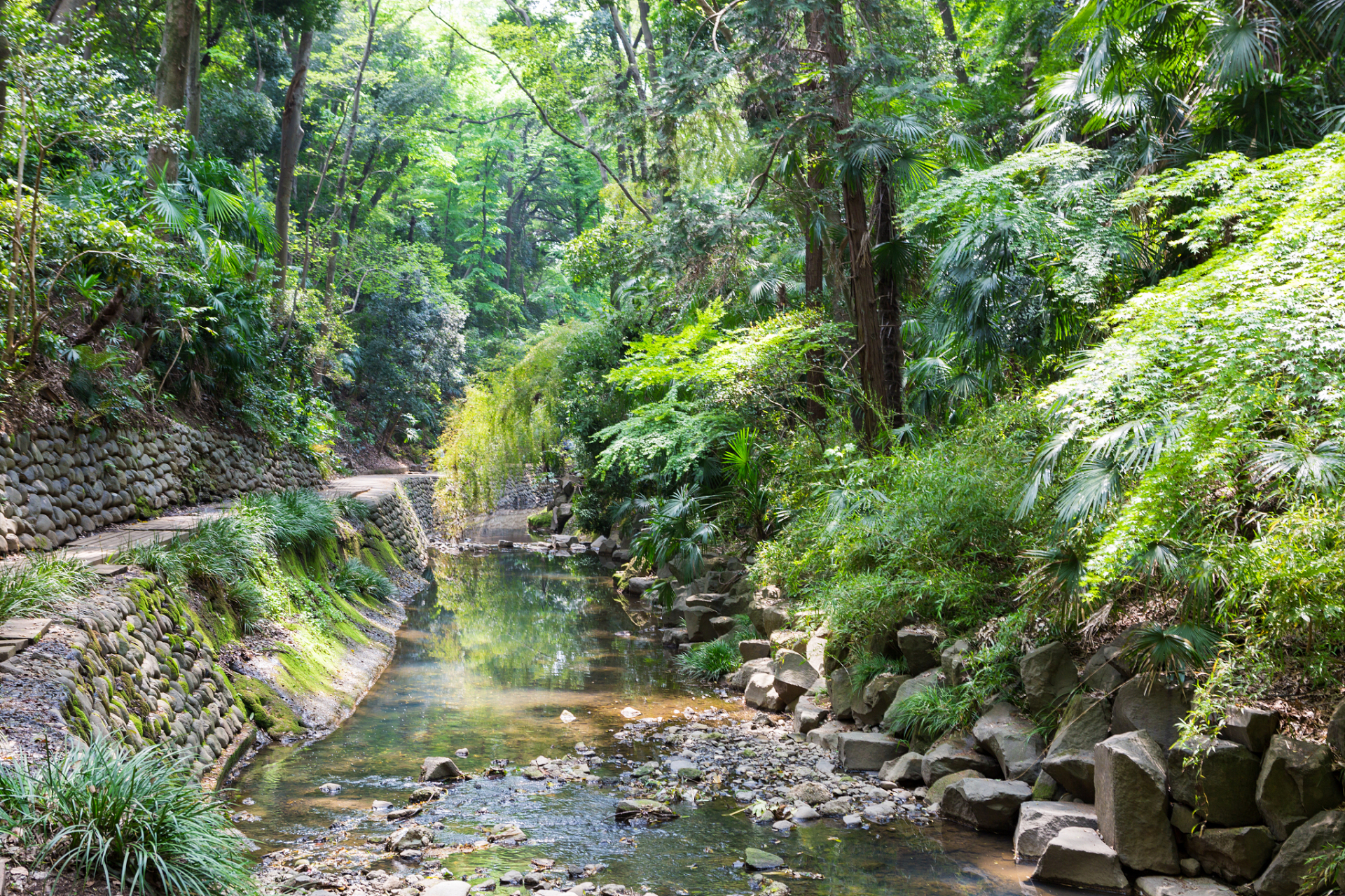 在浙江杭州西北四十公里,#秋日生活创作季# 杭州山沟沟风景区位于余杭