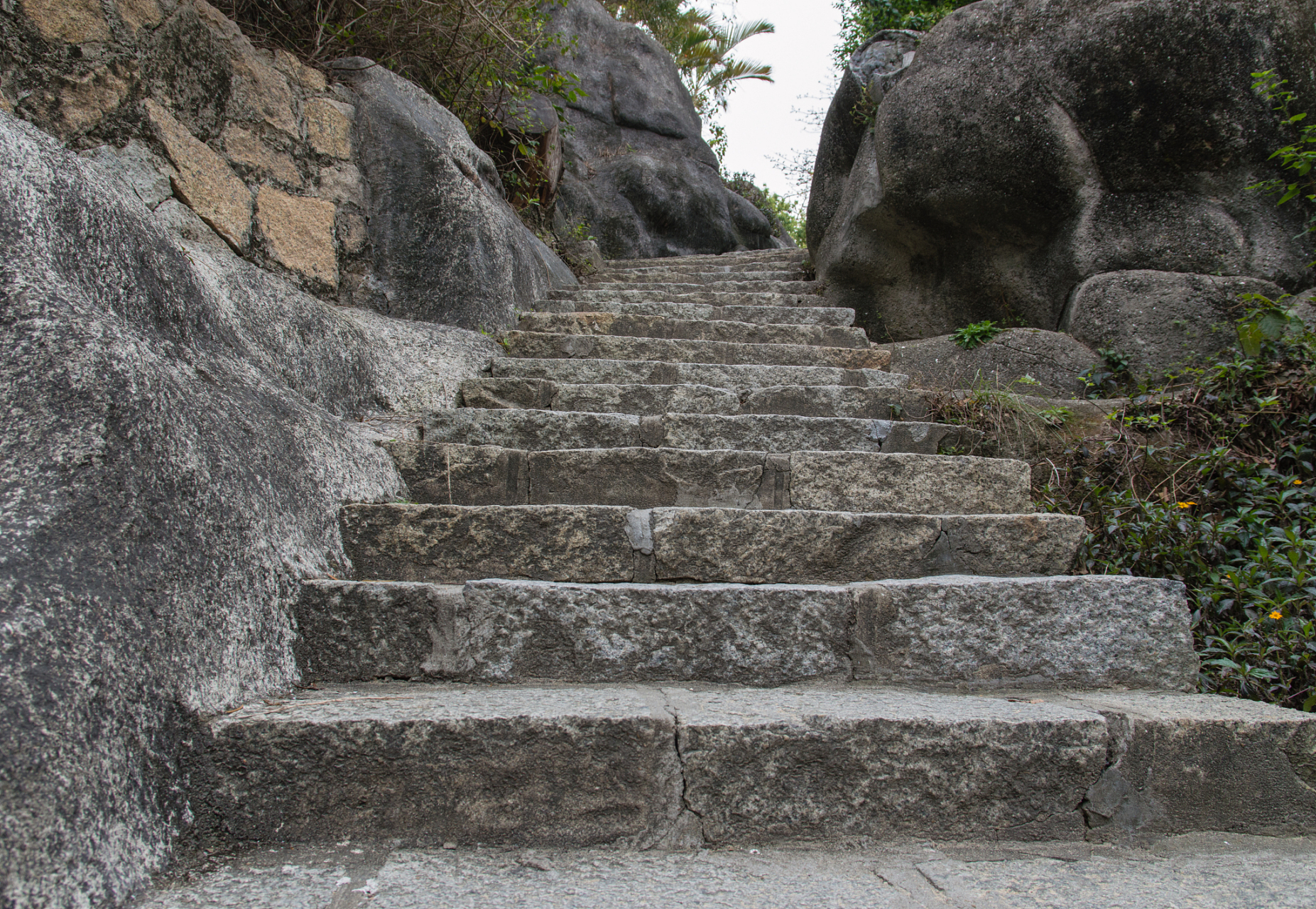 位于温州市大罗山东侧的千步梯,一直以来都是该地区的秘密健身胜地.