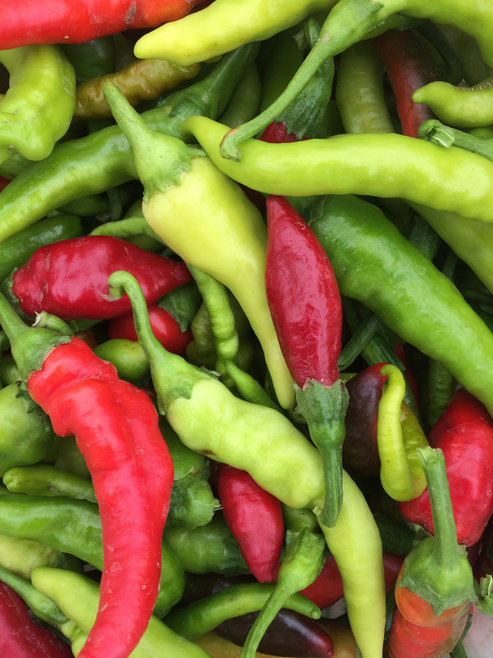 美食推荐:枣庄薄辣椒 枣庄薄辣椒是山东枣庄的特产,它因皮薄,肉厚,味