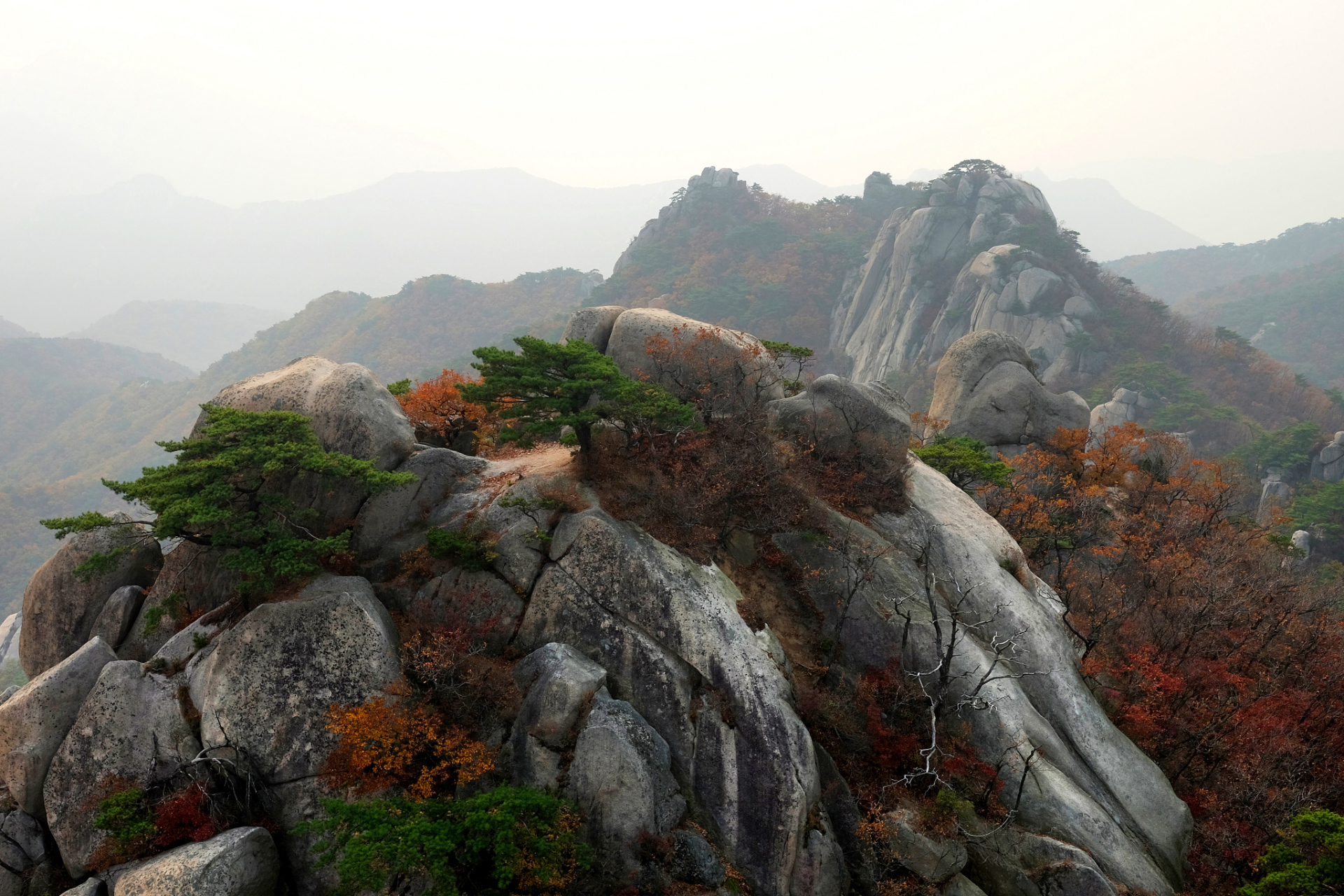 **day1**:信阳市区-郝堂村-波尔登森林公园-鸡公山