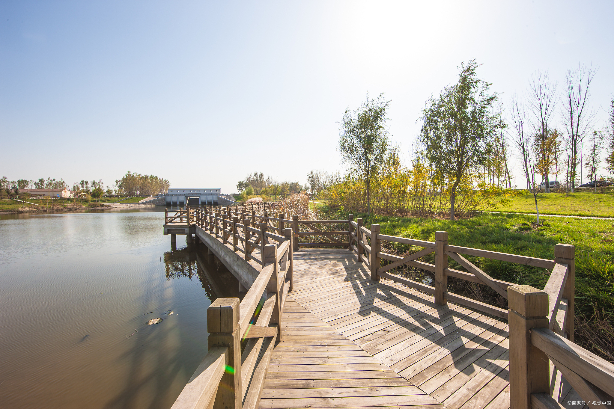 短暂的秋天,太仓的景色美得恰到好处,不早不晚,正是出游的好时节.