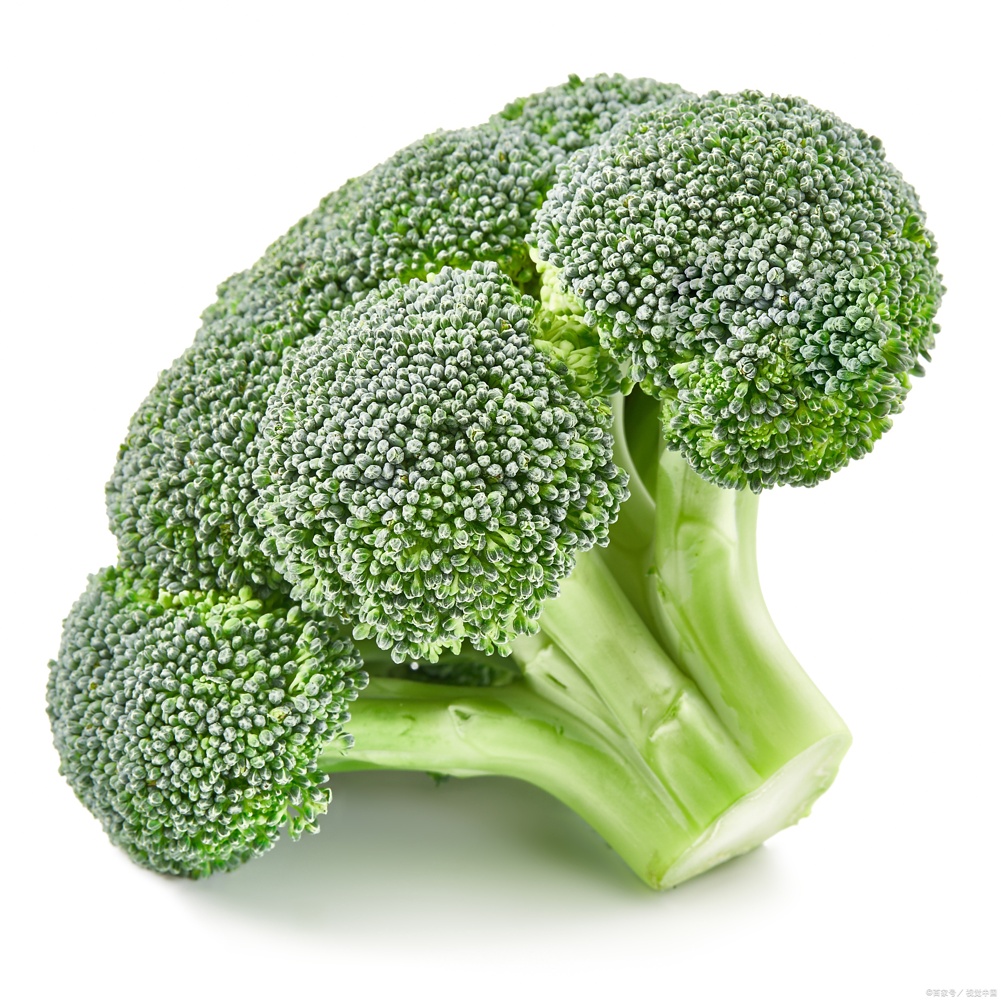 秋天老人适合吃什么呢?小墨为您揭秘5种健康食品!