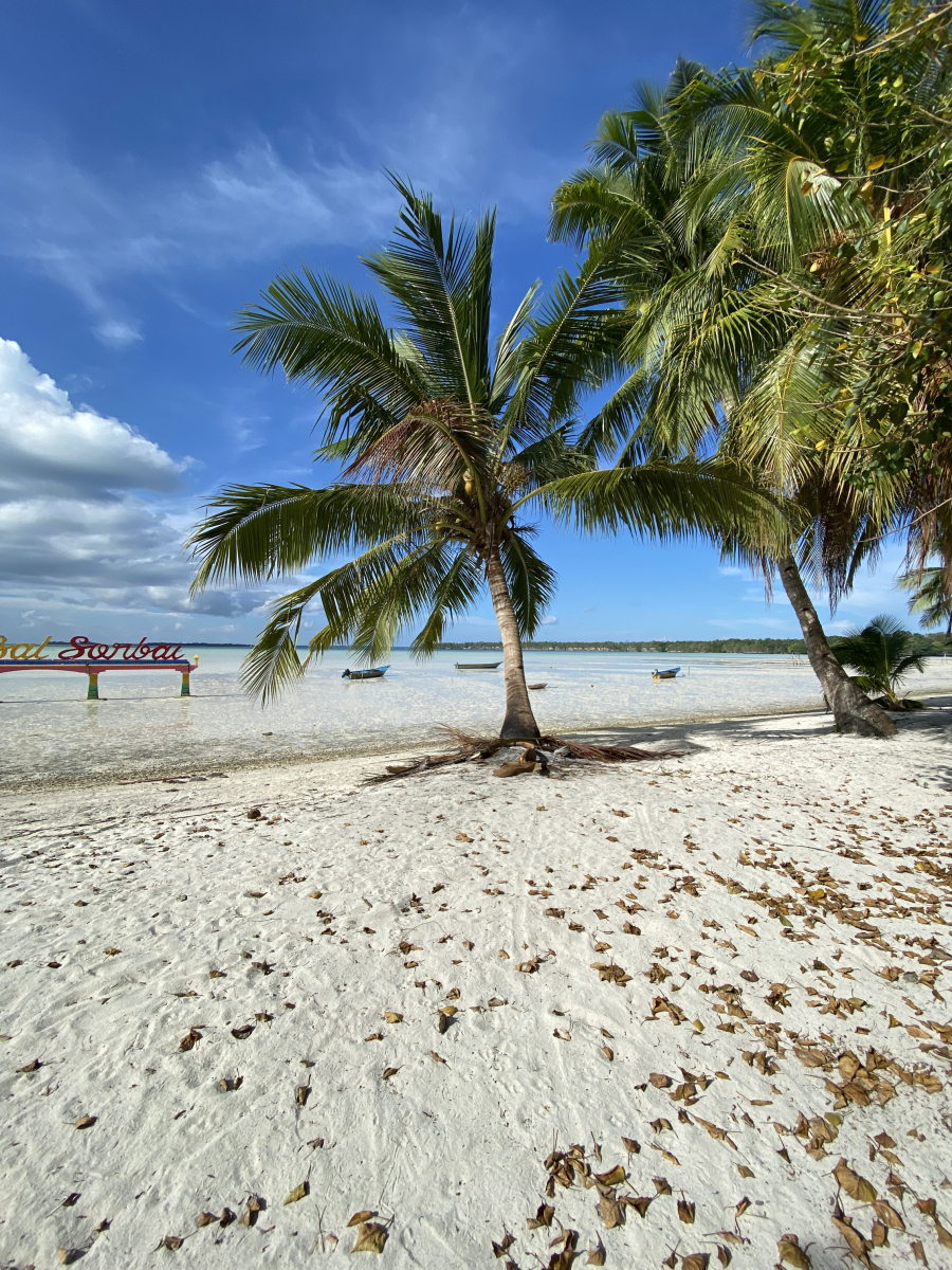 在这里,椰风海韵,海岛风情,一切美好尽收眼底.