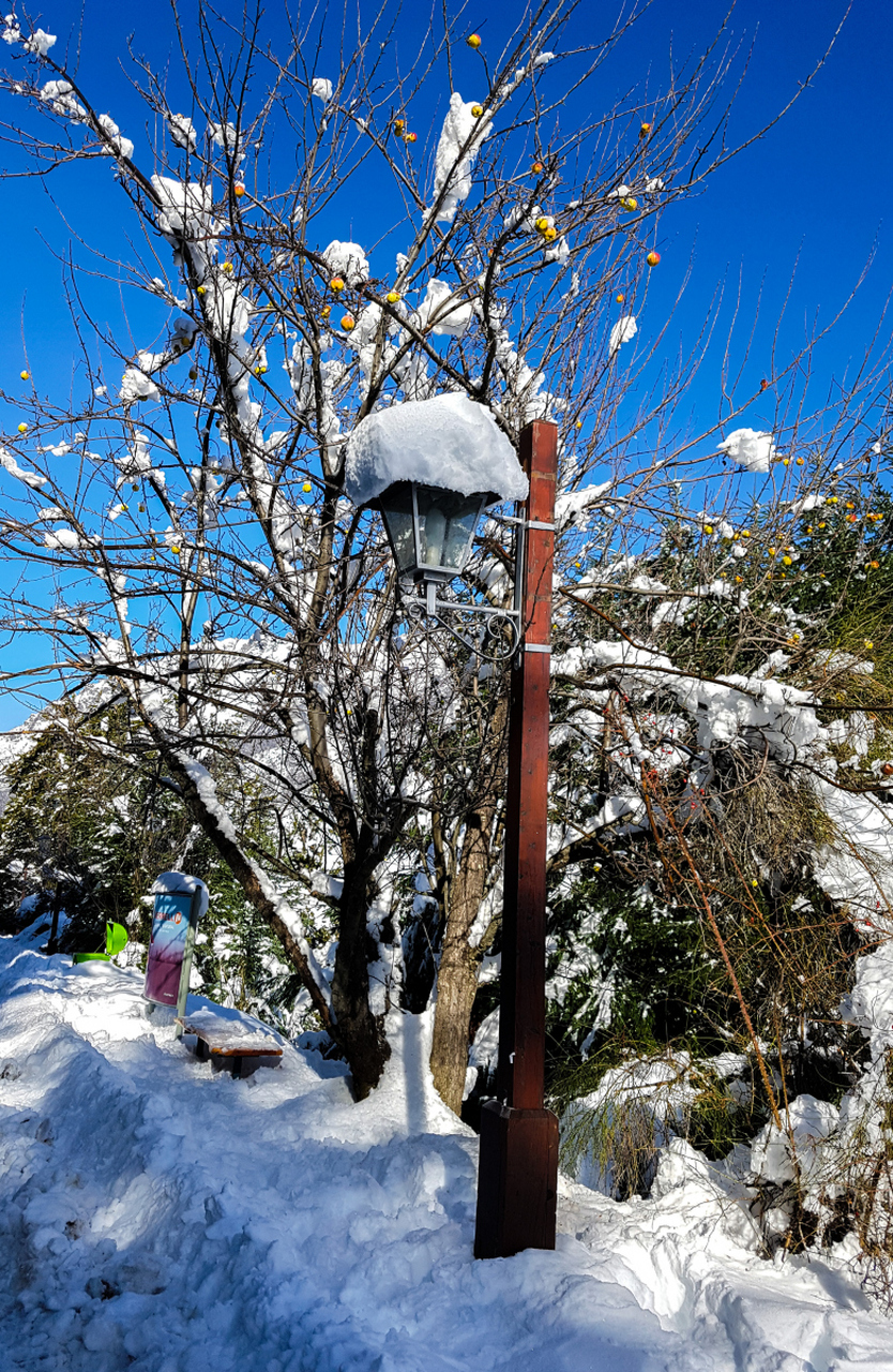 在郑州冬天并不只有寒冷的天气和白雪皑皑的大地,还有许多乐趣等待着