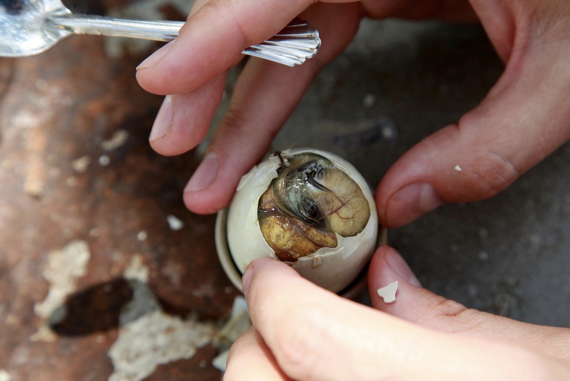 老鳖蛋的孵化方法如下:  1.