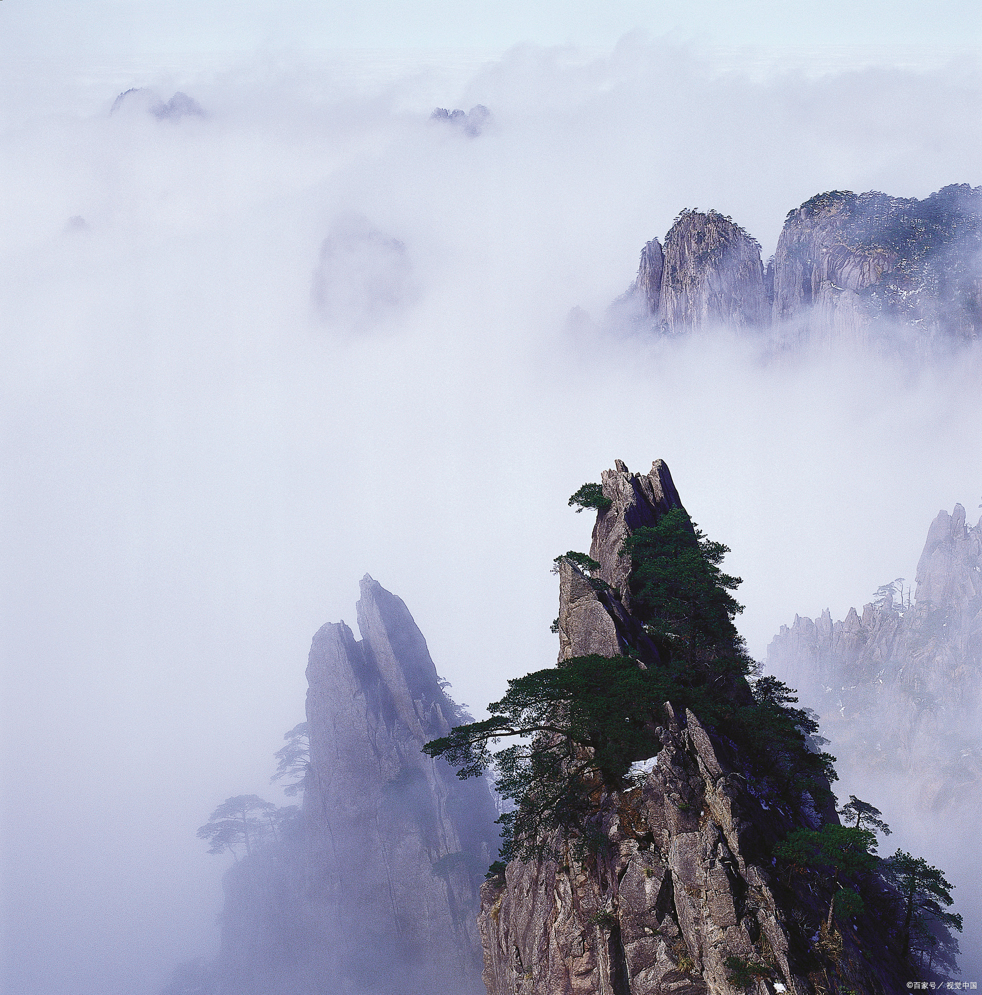 大黄山图片图片