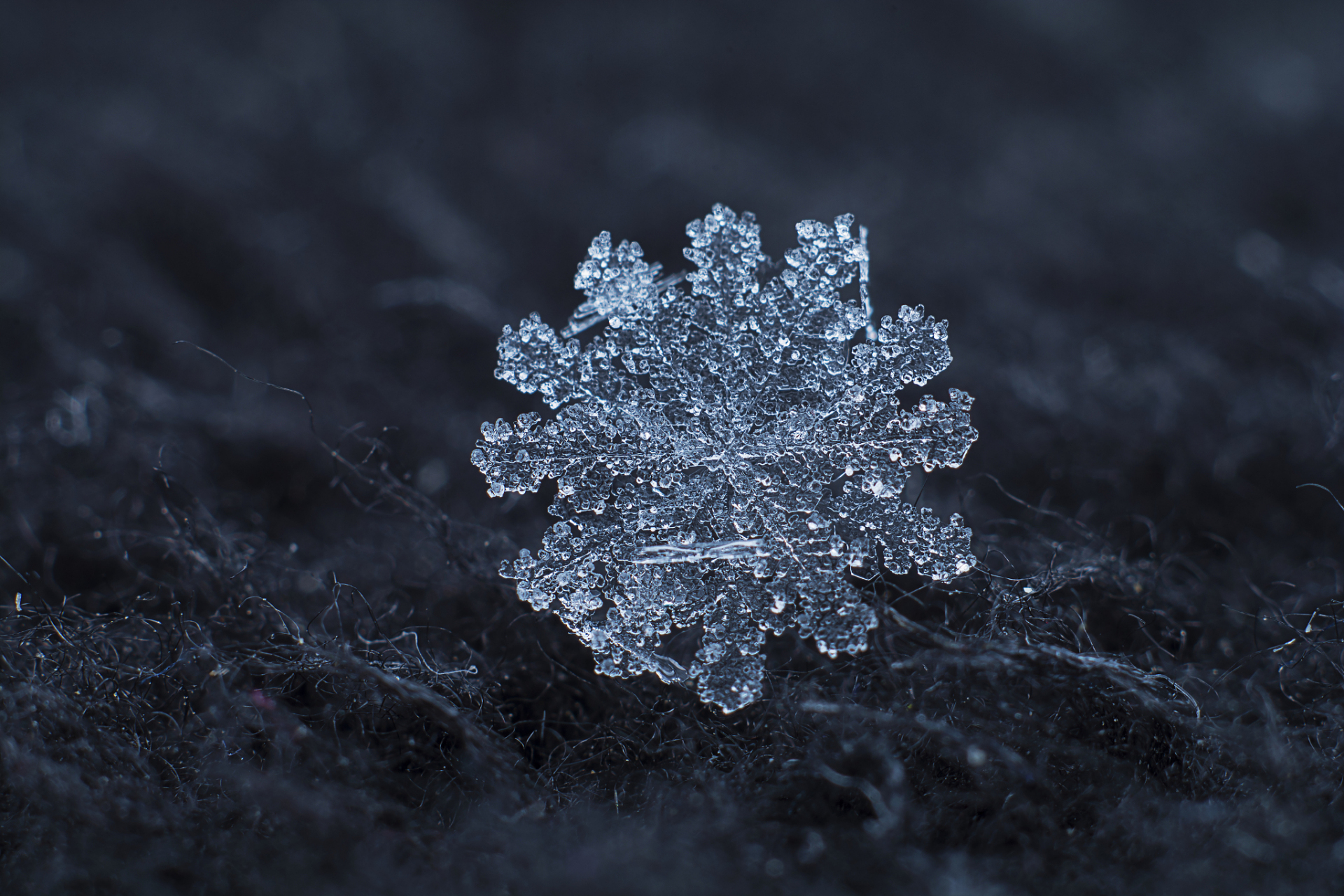 36种雪花形状 种类图片