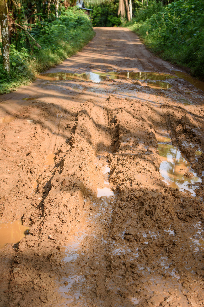 那条路简直是我的噩梦,满是泥泞,我在那儿摔的跤少说也有