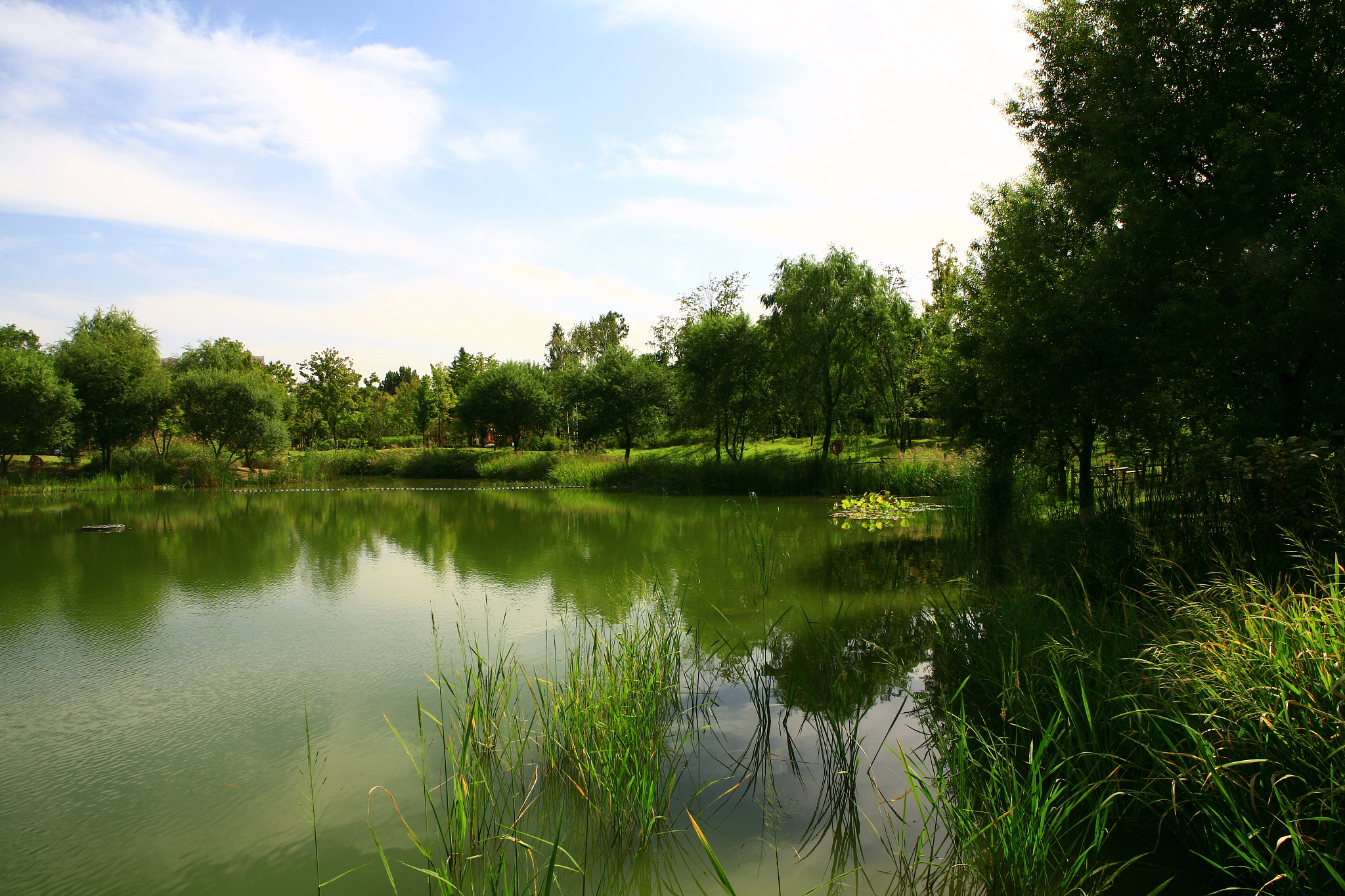 沣河森林公园是西安的一颗璀璨明珠,拥有湖泊,瀑布等自然景观和古建筑