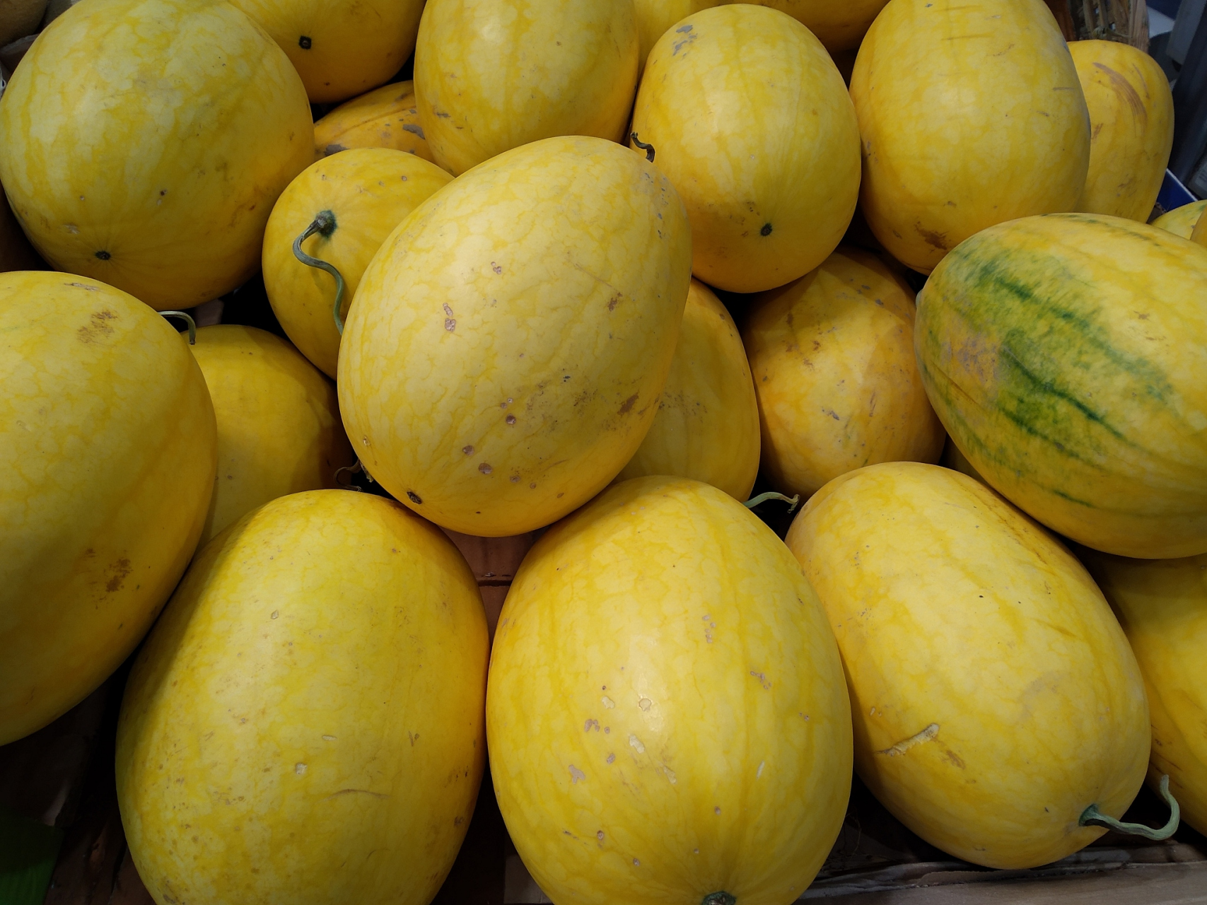 黄皮西瓜的种植需要湿润且排水良好的土壤,ph值6.0-7.