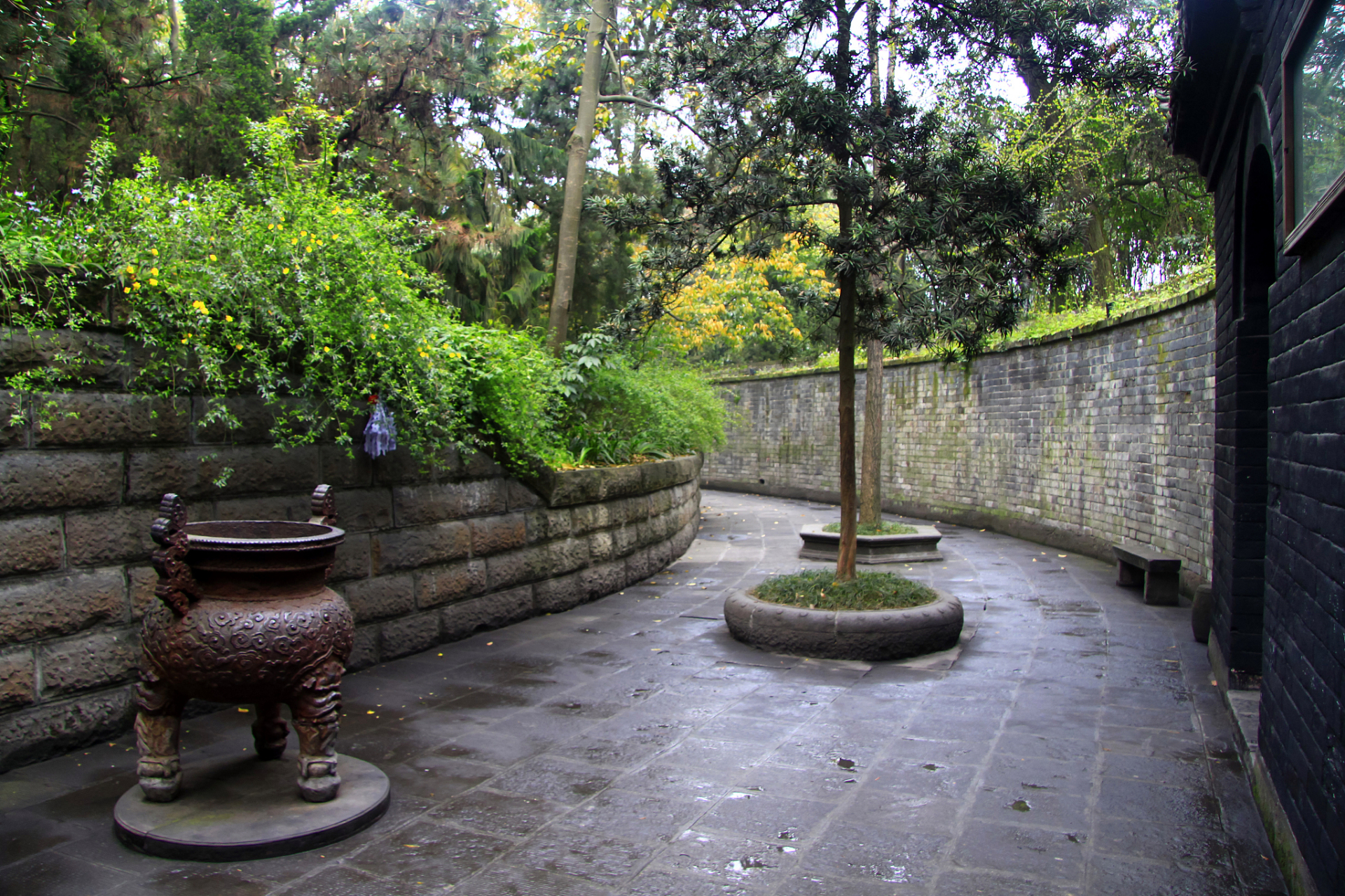 温州景山公园不仅是一处自然风光胜地,还拥有各类专类植物园,包括樱花