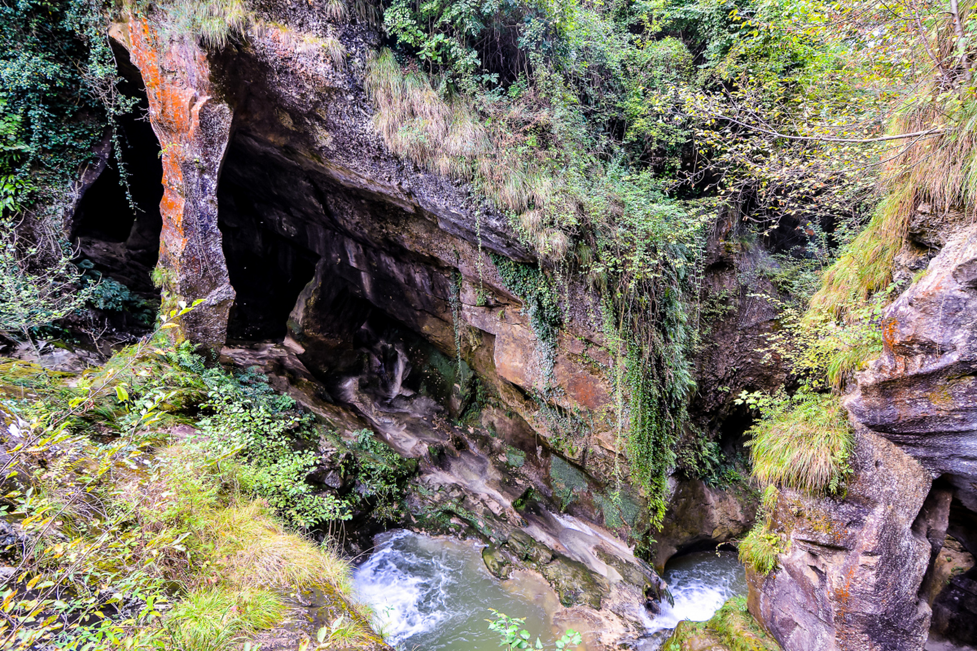 伊岭岩风景图片