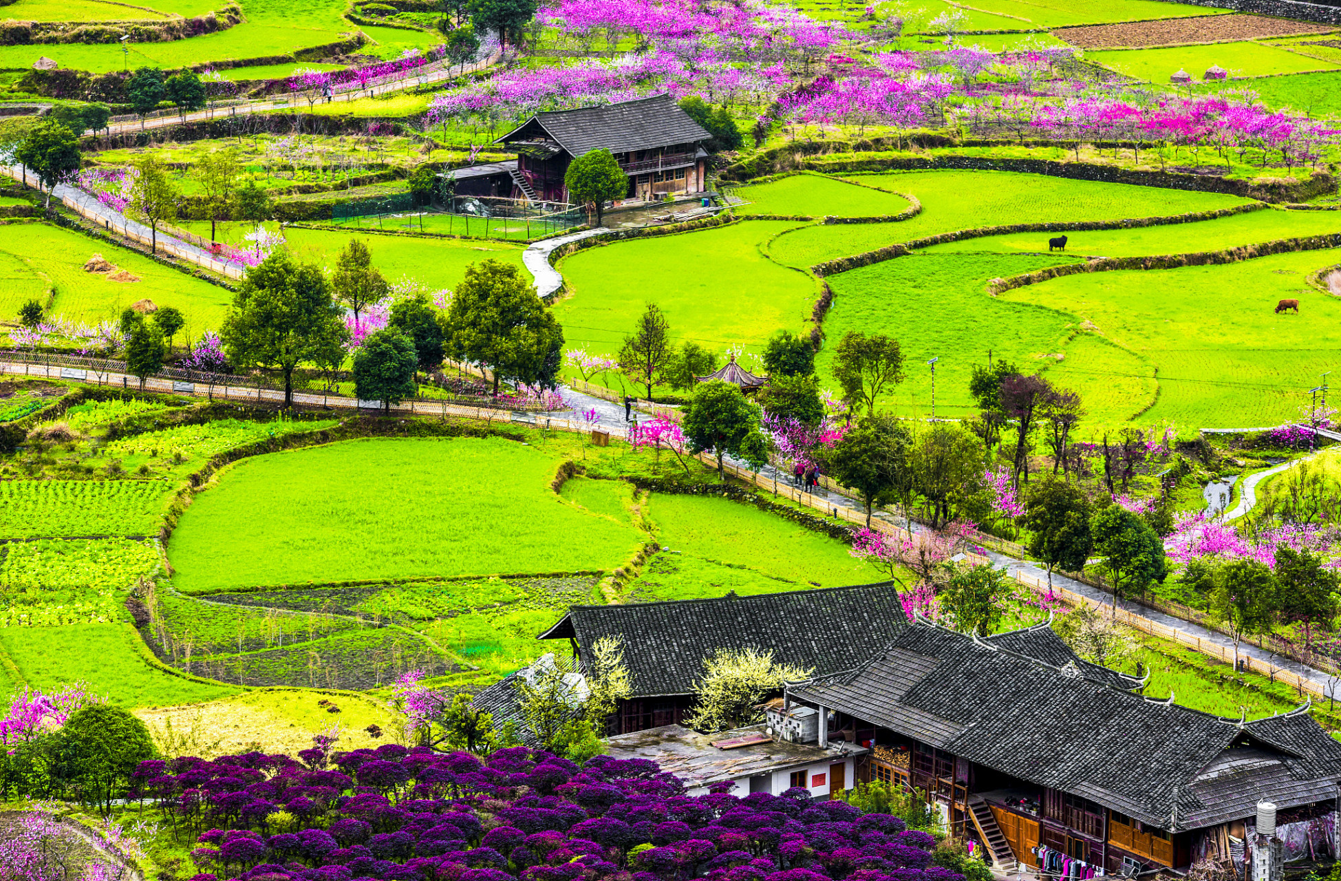 泰山桃花源位于泰山西麓,古时因桃花满峪谷而得名.