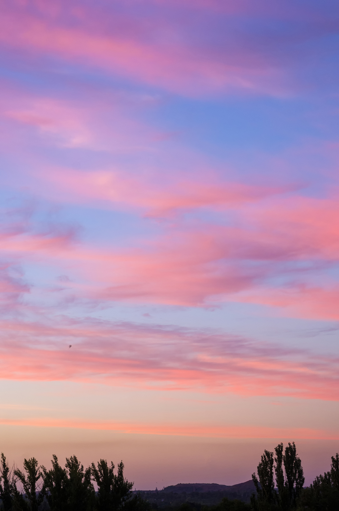 晚霞中的紫色部分浓郁深沉,想来该是暮霭,可望之又如薄云一般