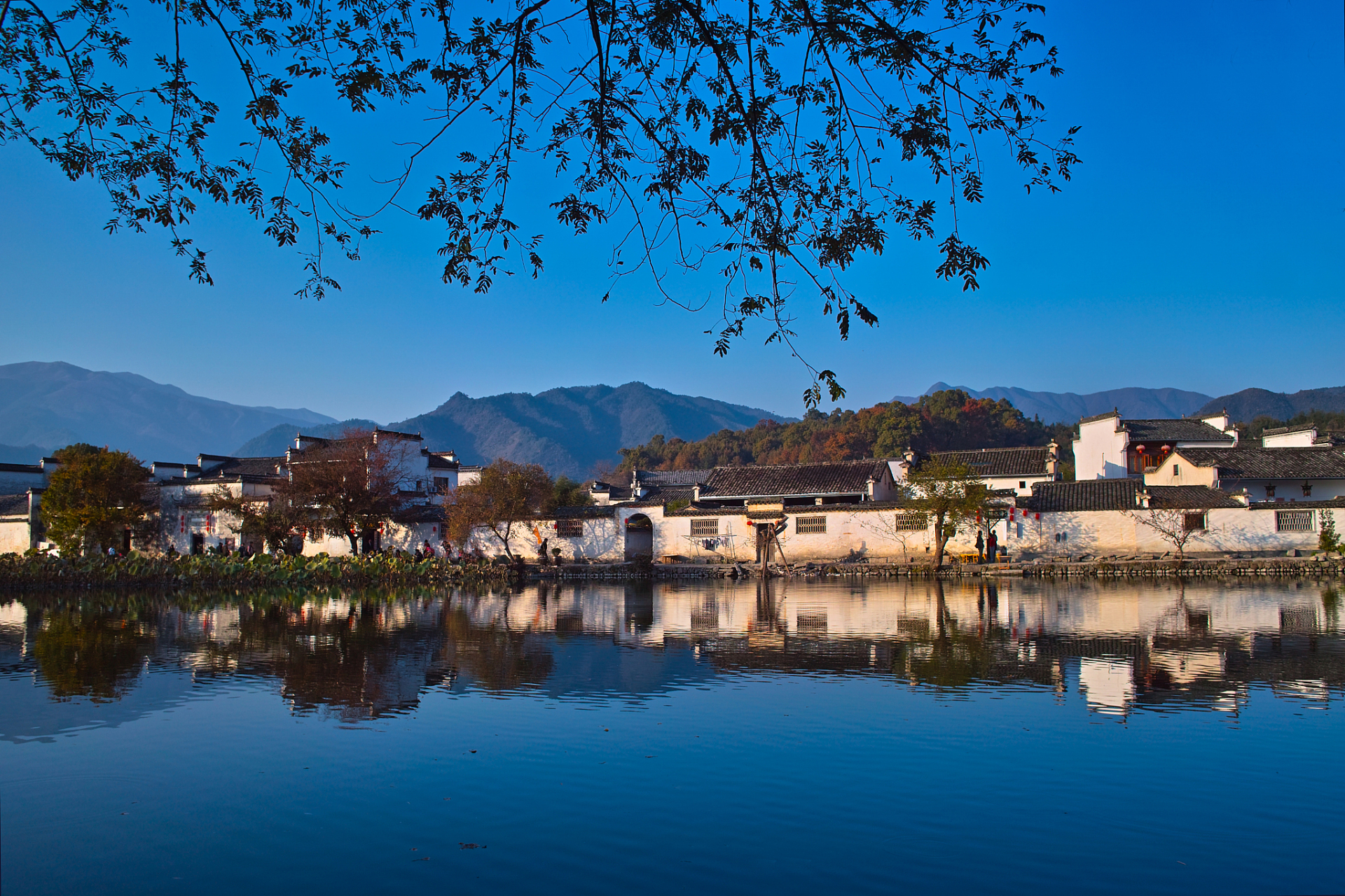 99:安徽黄山市歙县宏村 01:建议乘坐旅游大巴前往 91:手机拍摄