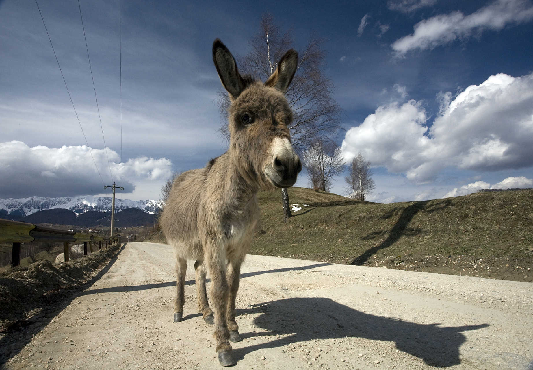 搞笑哲学# 在一所监狱里,三个囚犯在那里争得面红耳赤,想证明自己才