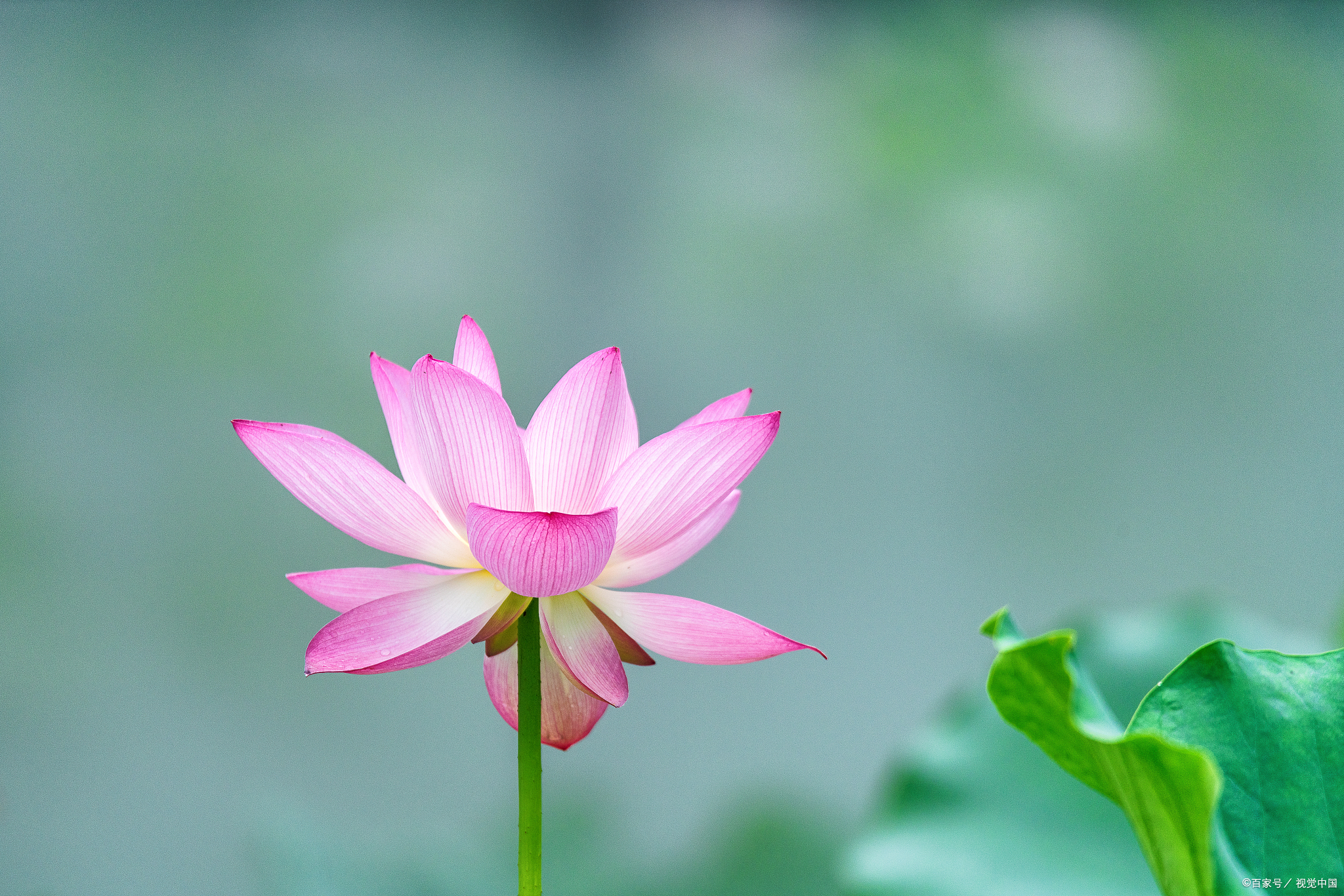 我们活着的每一天都可能遇到讨厌的人.@话清秋的动态