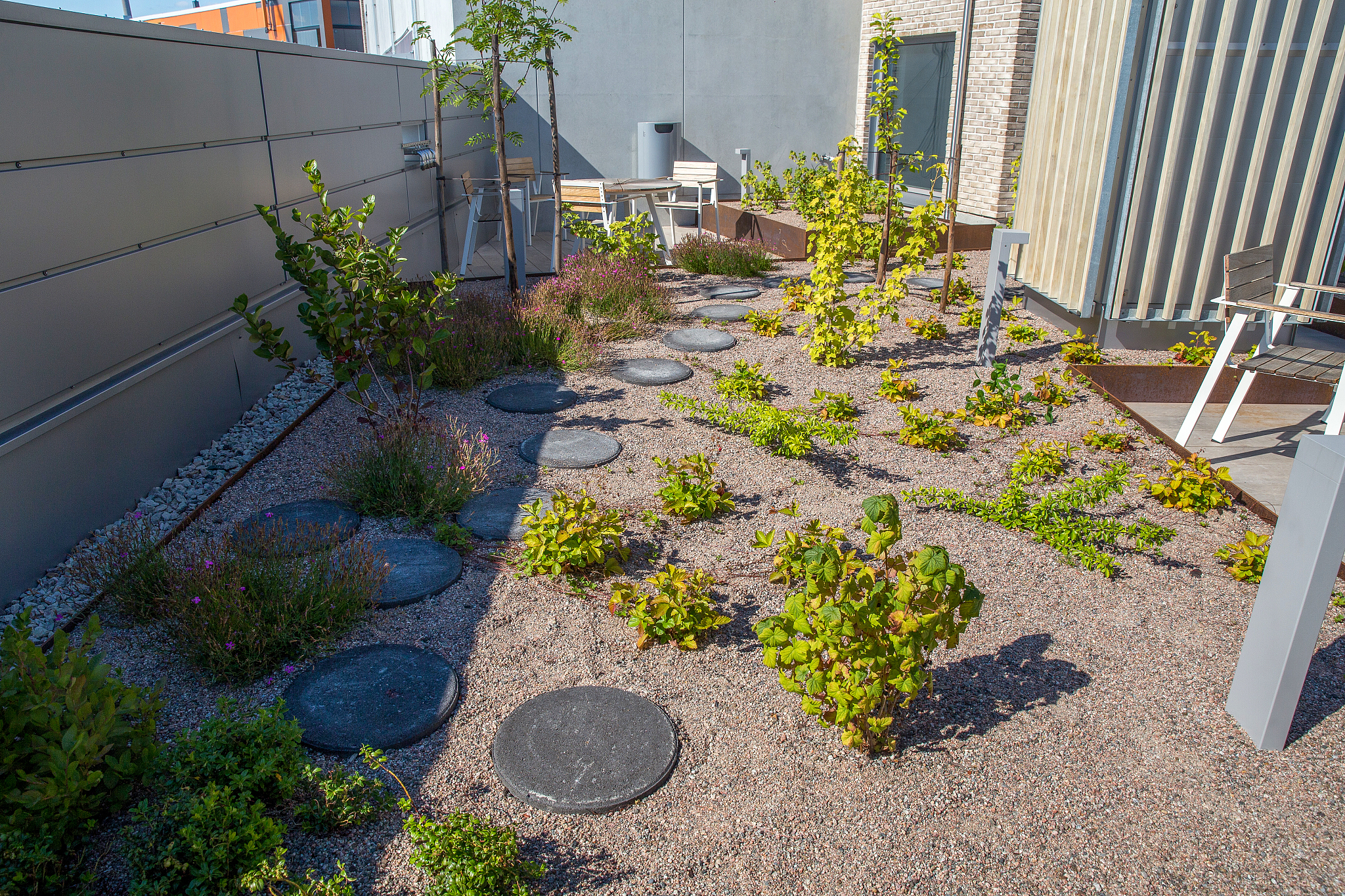 矮灌木和草本植物是重要角色,带来生机与活力;浅根系