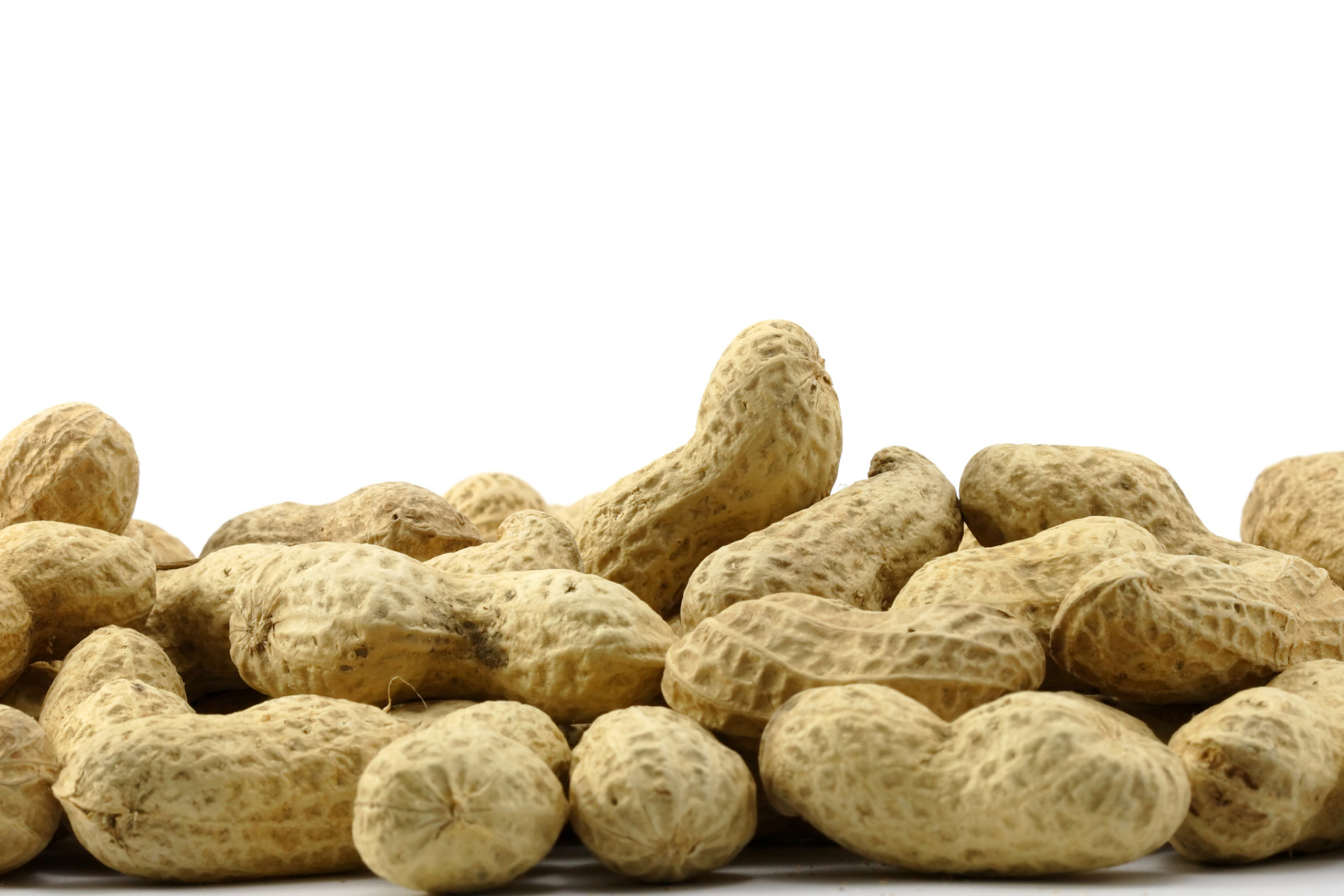 花生期货主力上涨,花生粕价格震荡偏弱  #期货# #油脂期货# 星期二